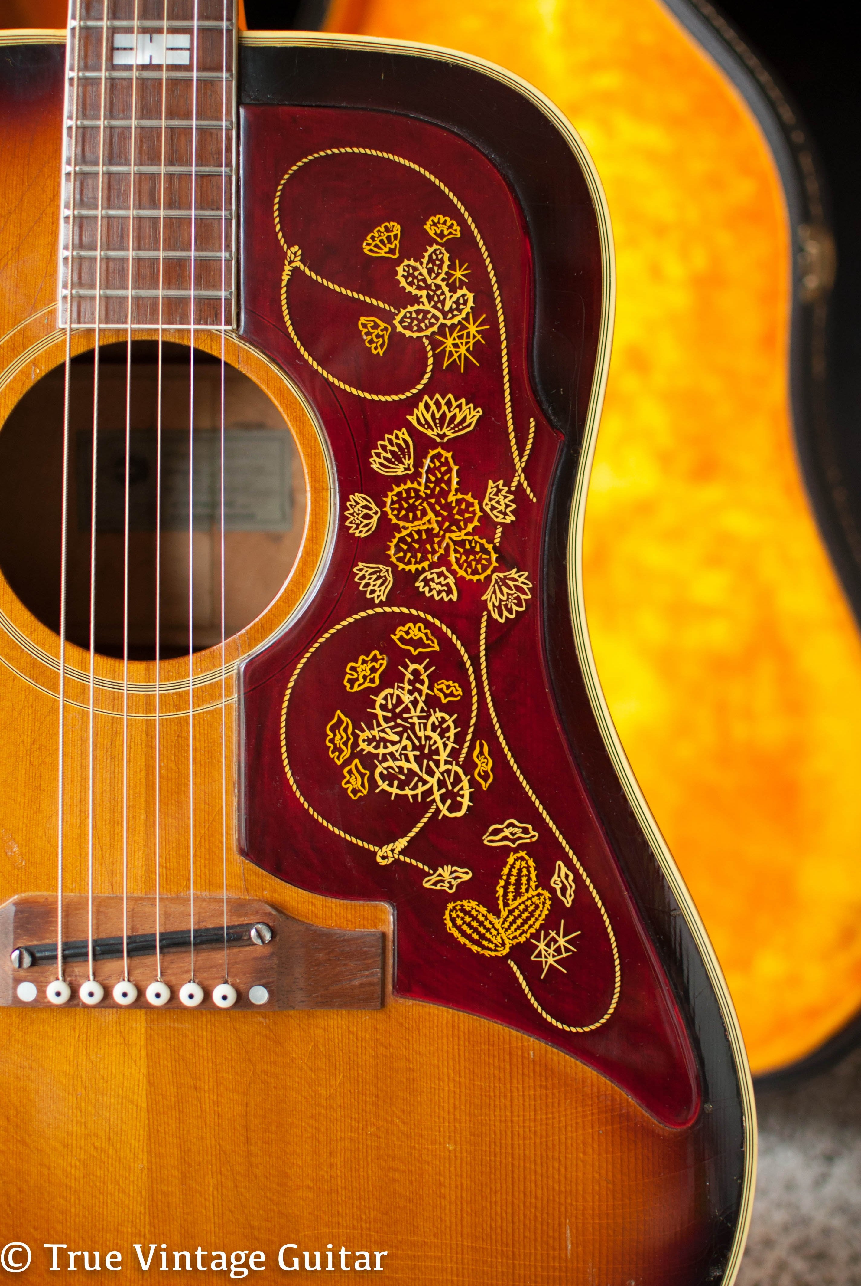 Gibson Epiphone Guitar Buyer