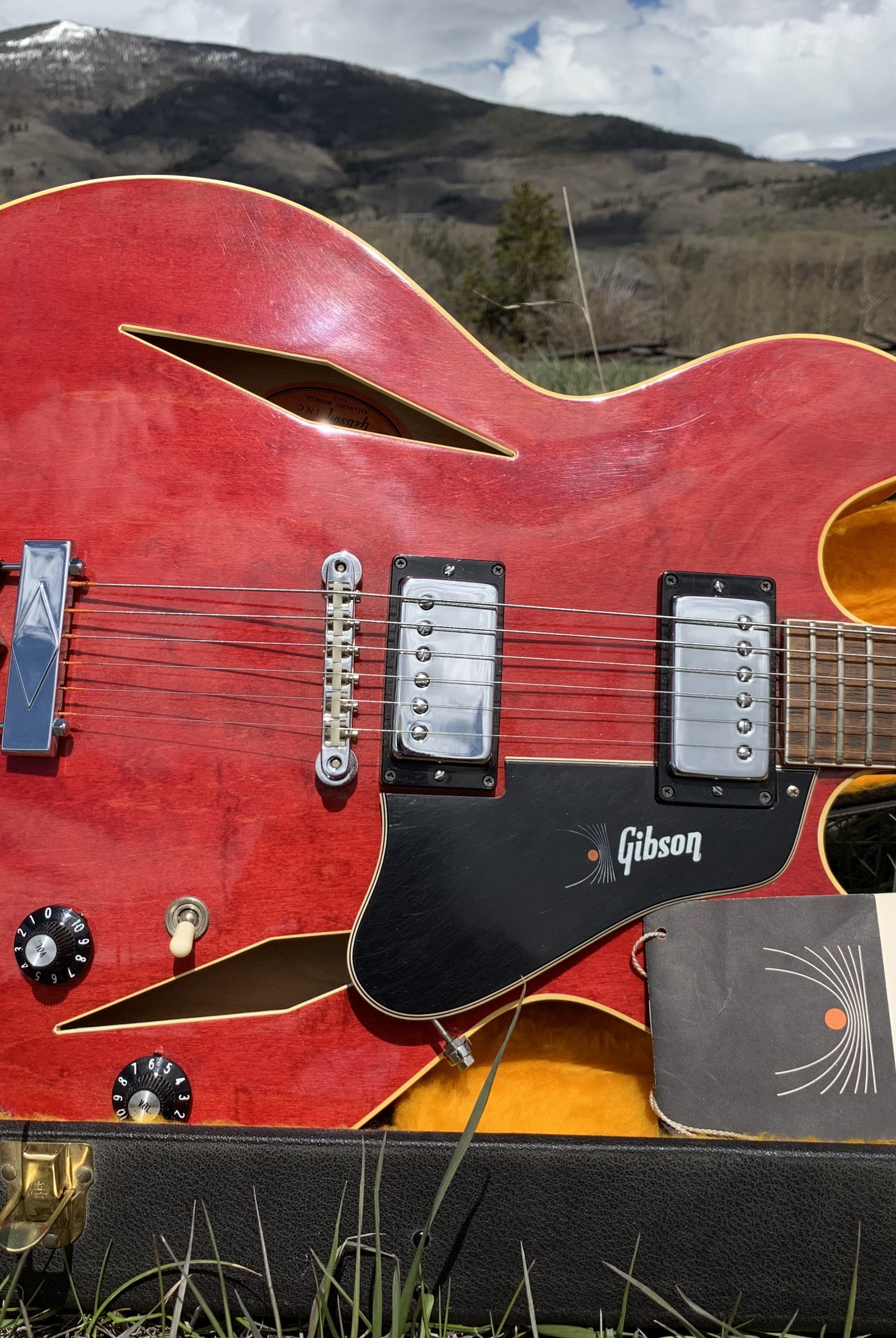 Gibson guitar buyer