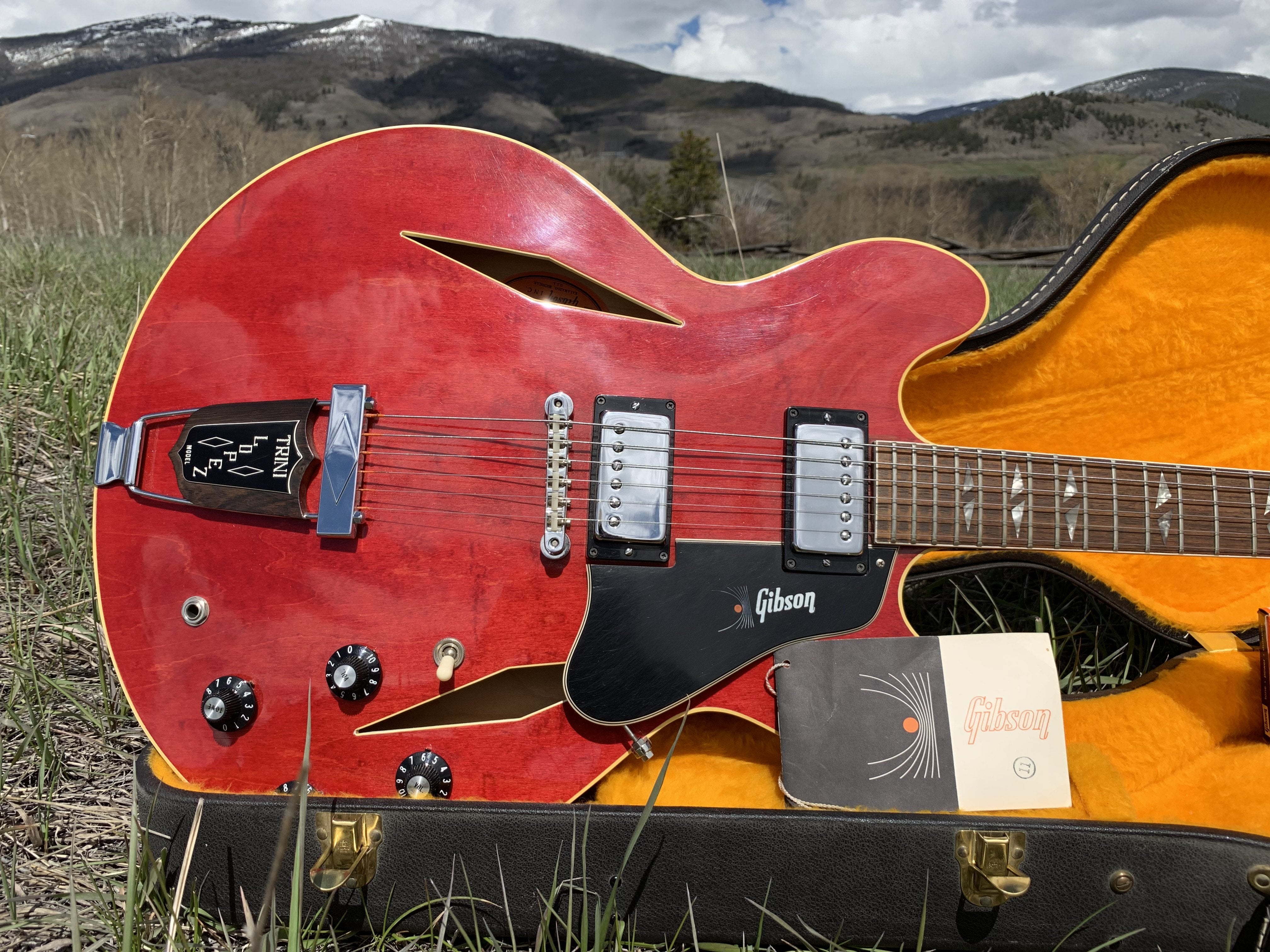 Gibson guitar buyer