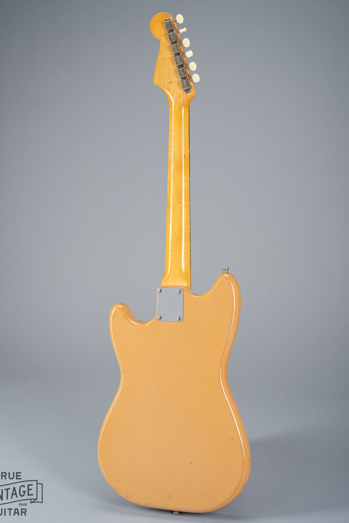 Back of 1960 Fender Musicmaster desert sand guitar body neck plate neck tuner buttons