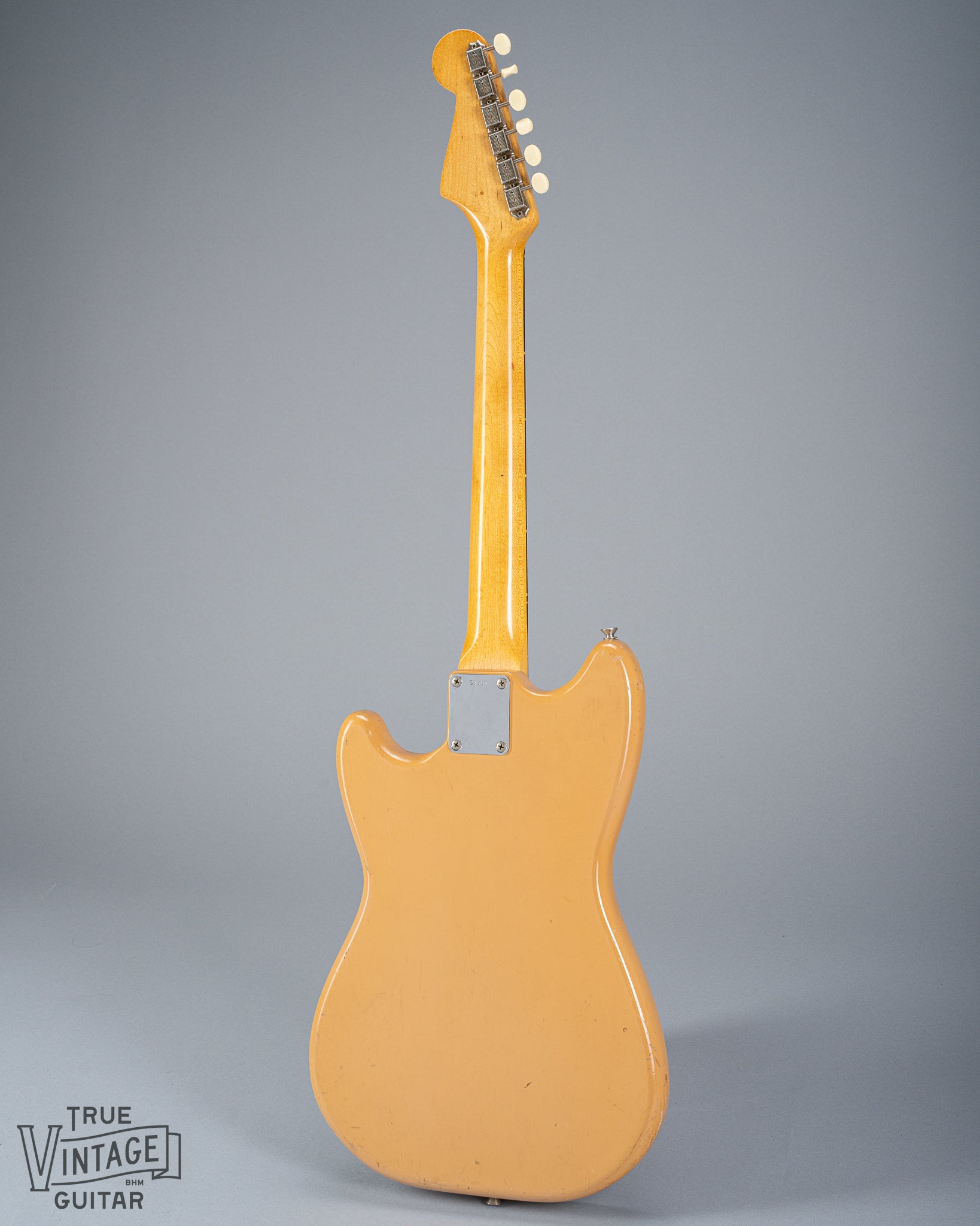 Back of 1960 Fender Musicmaster desert sand guitar body neck plate neck tuner buttons