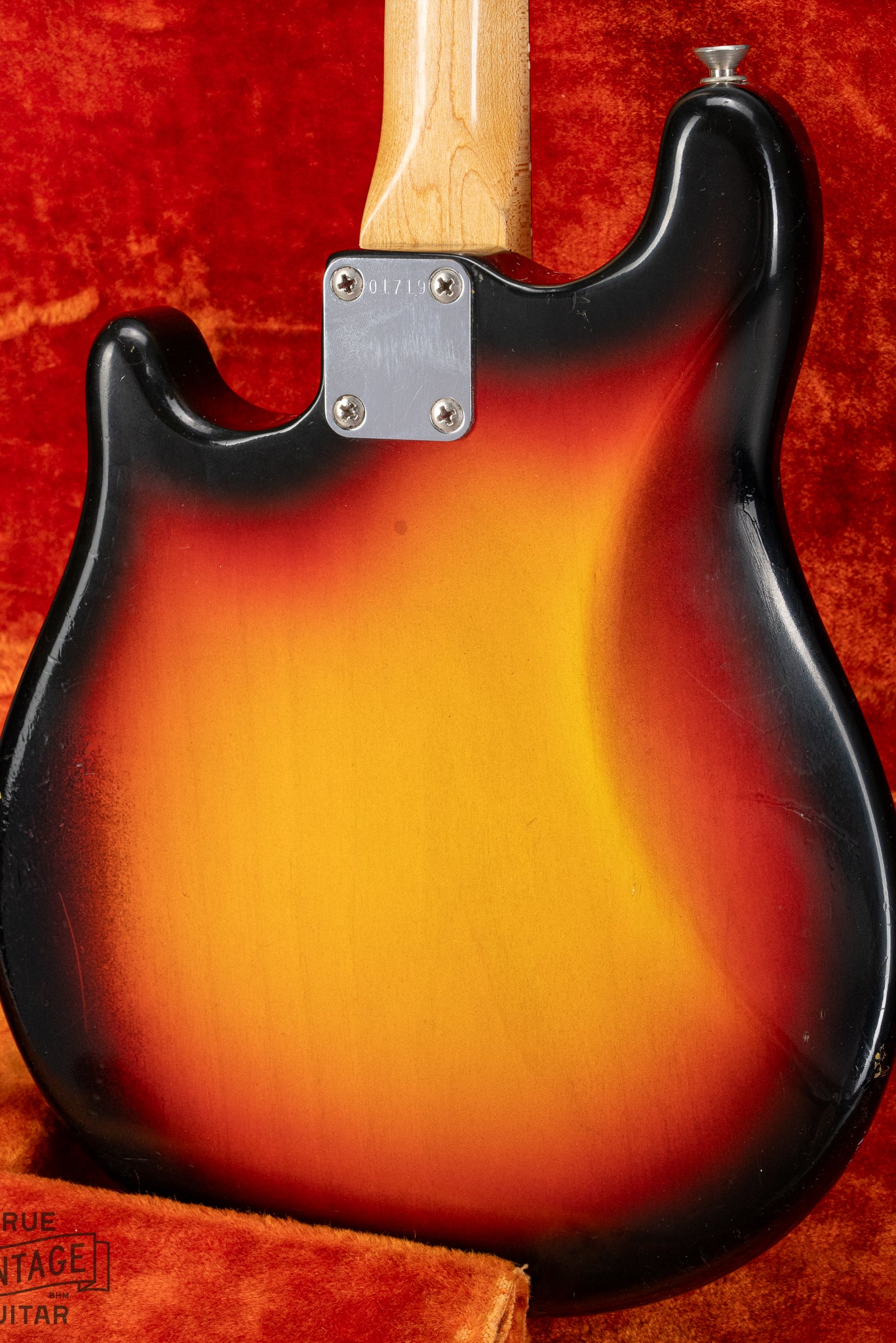 back of 1965 Fender Electric Mandolin Sunburst guitar mandolin body neck plate serial number