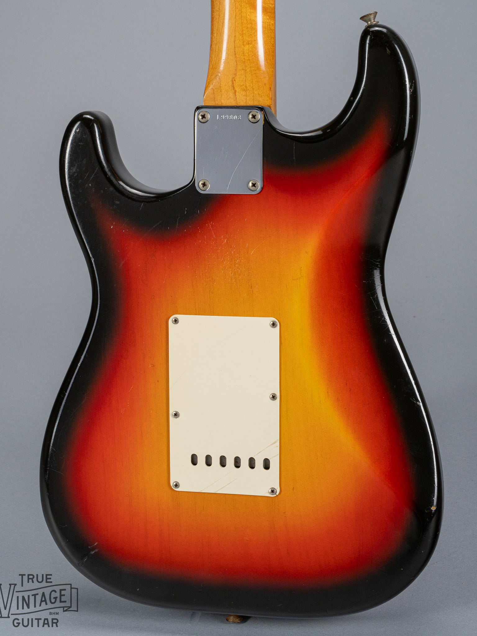 back of 1965 Fender Stratocaster Sunburst guitar body trem plate neck plate
