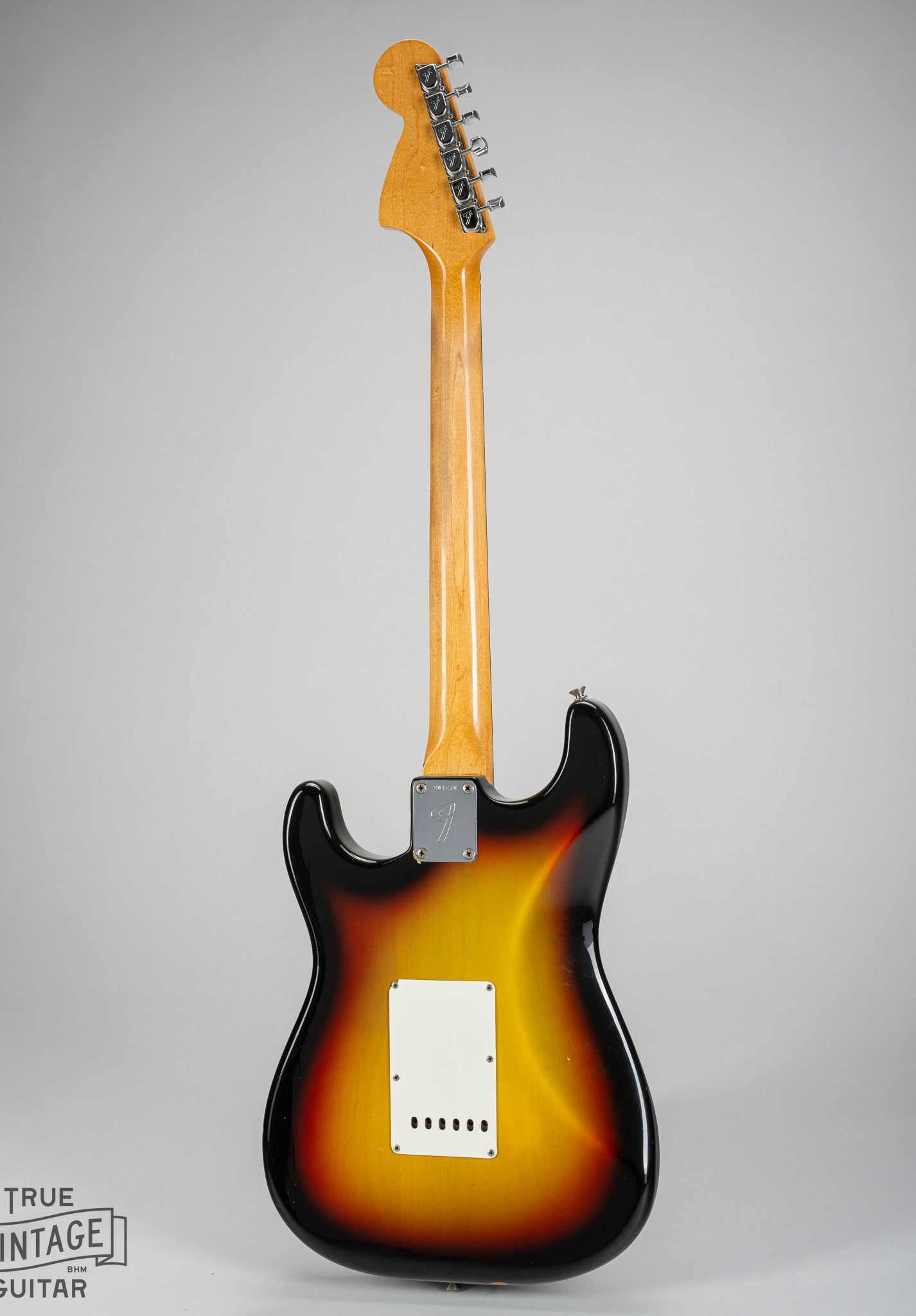 1967 fender Stratocaster Sunburst guitar tortoise shell back of body neck and headstock