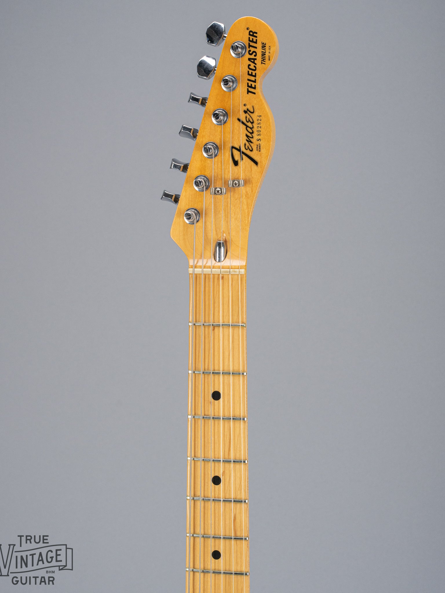 front of 1978 Fender Telecaster Thinline Black guitar neck and headstock