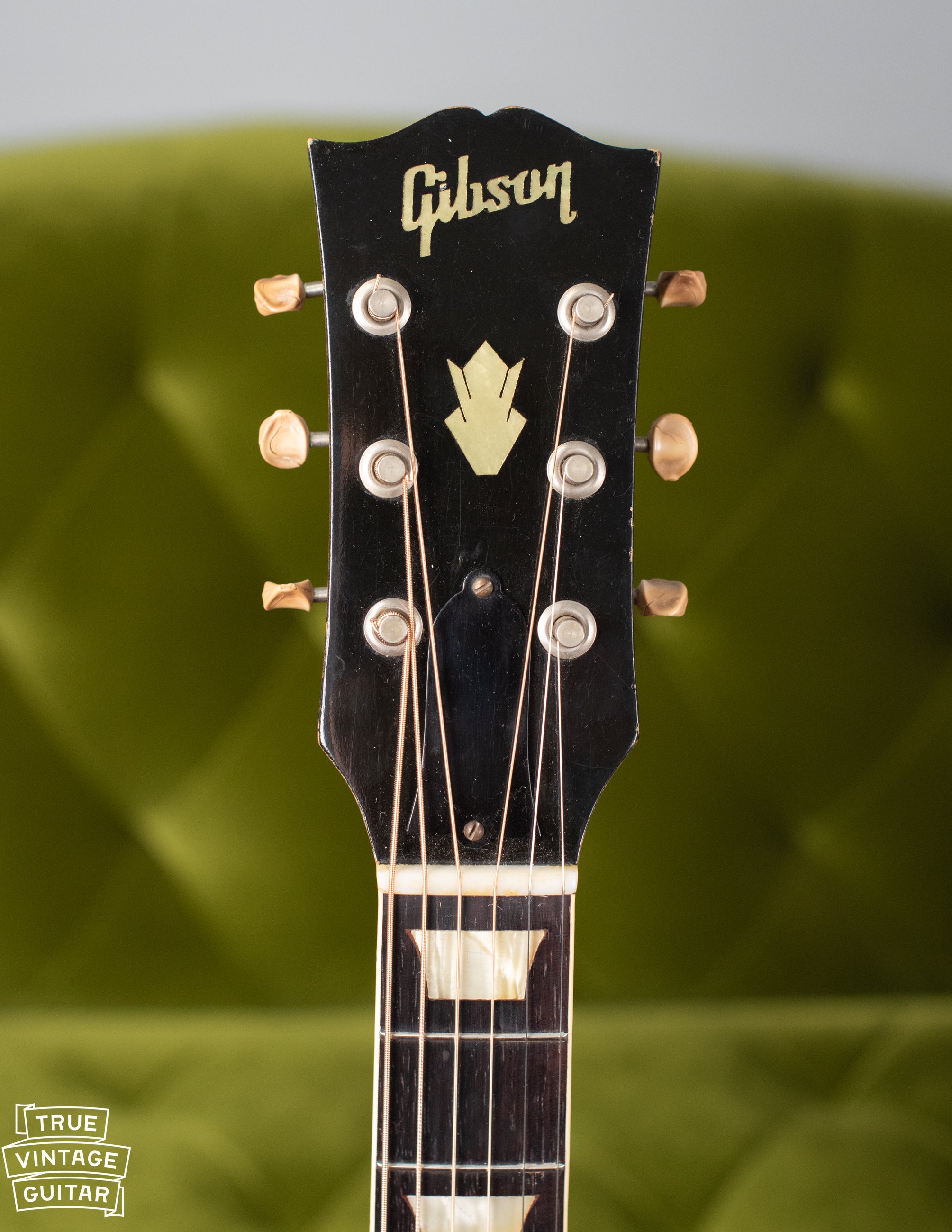 Gibson CF-100 headstock