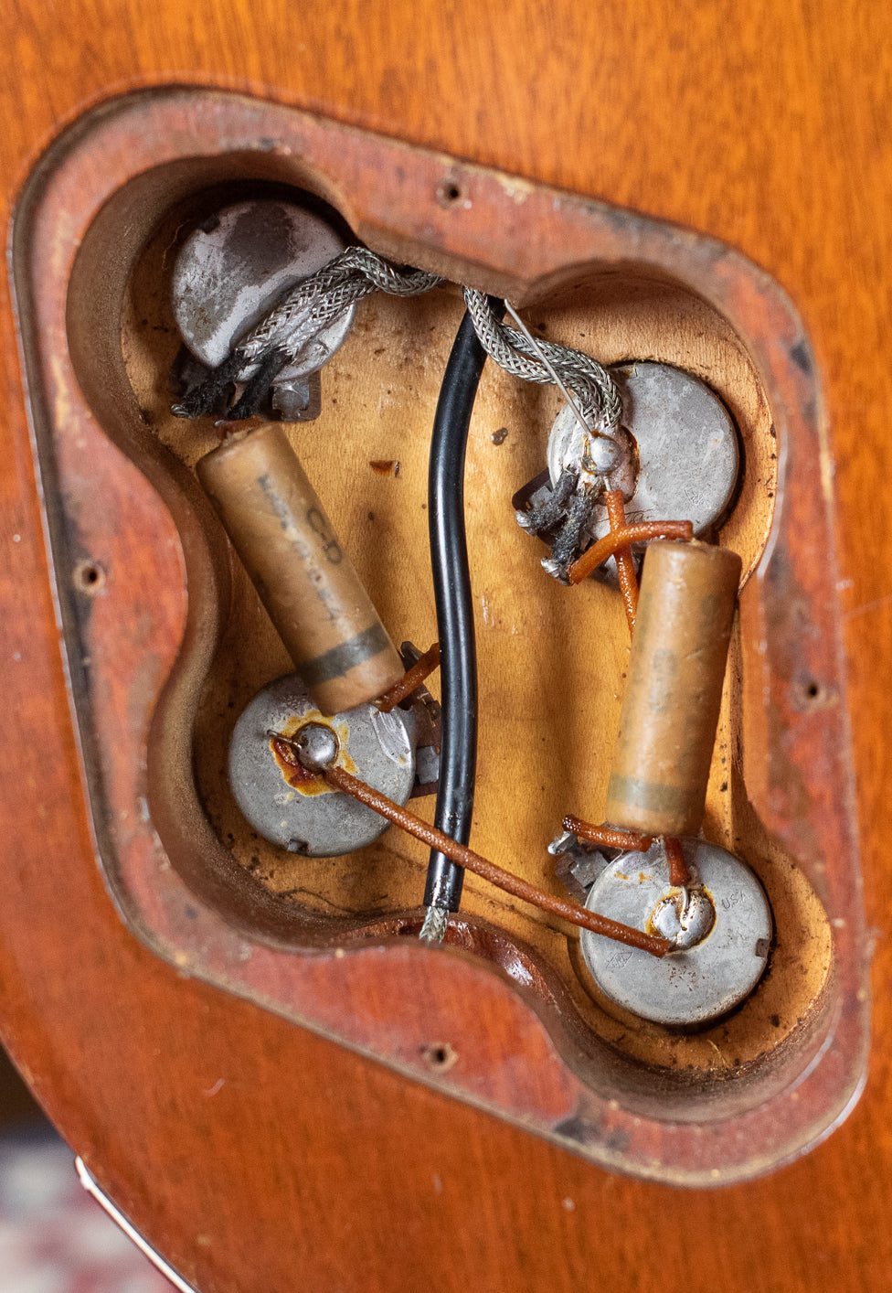 Potentiometers, control cavity, grey tiger capacitors