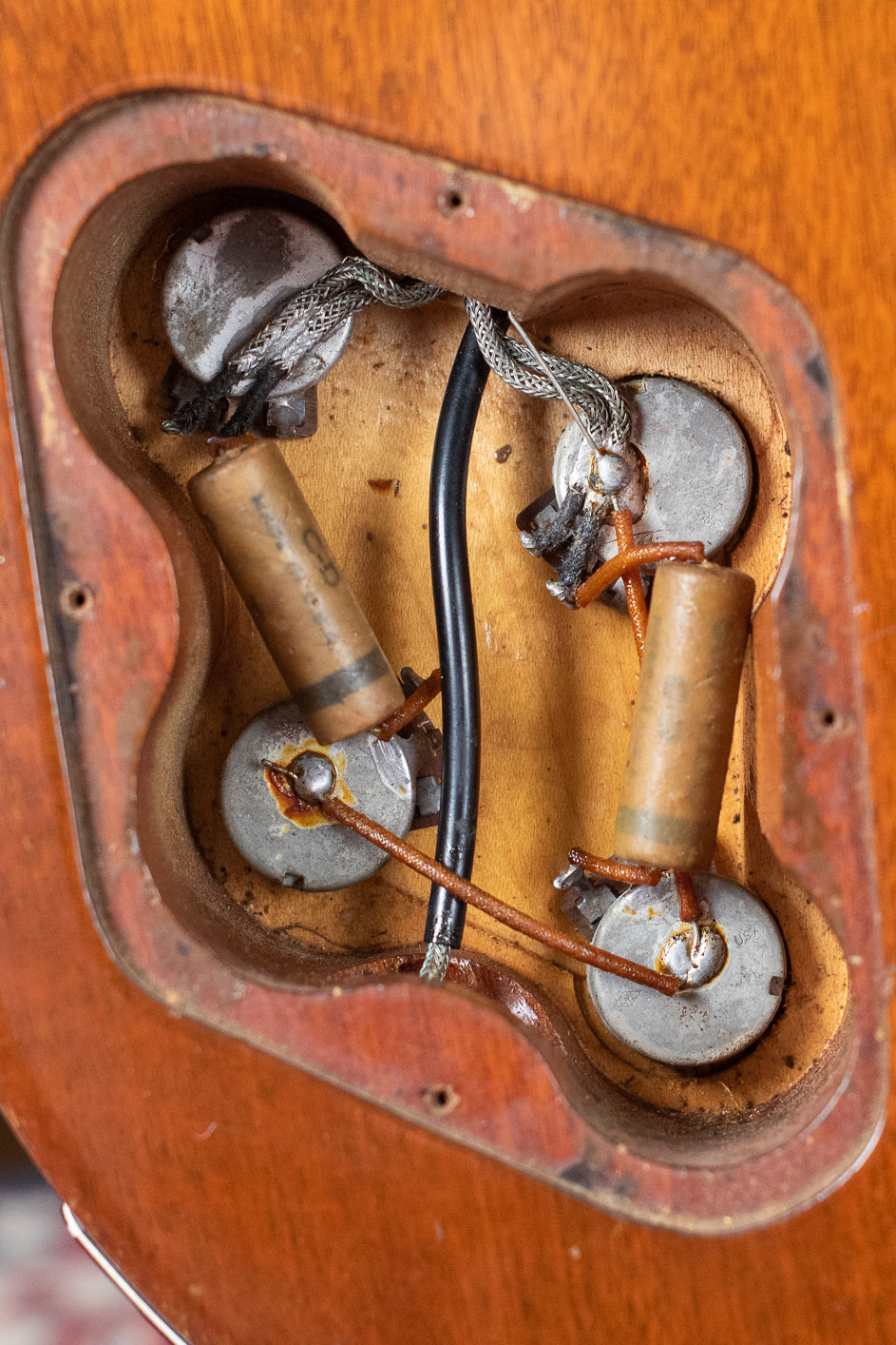 Potentiometers, control cavity, grey tiger capacitors