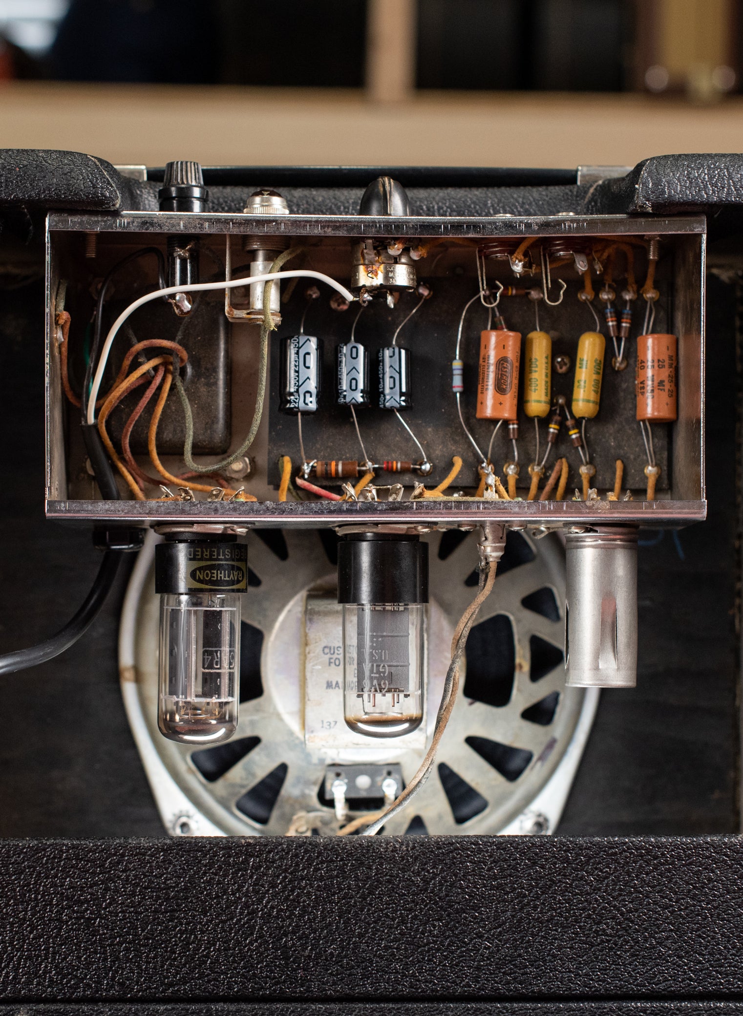 Fender 5F1 circuit champ