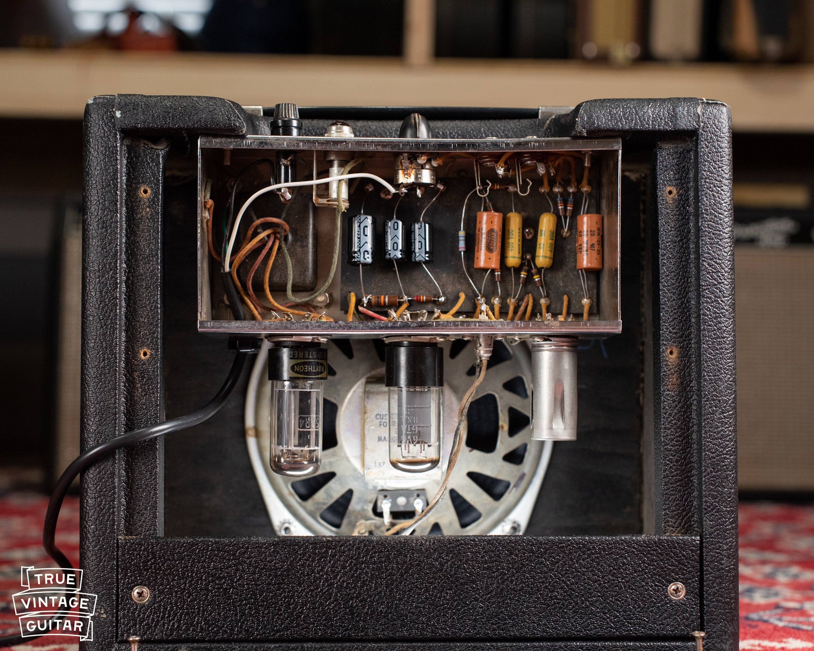 Fender 5F1 circuit champ