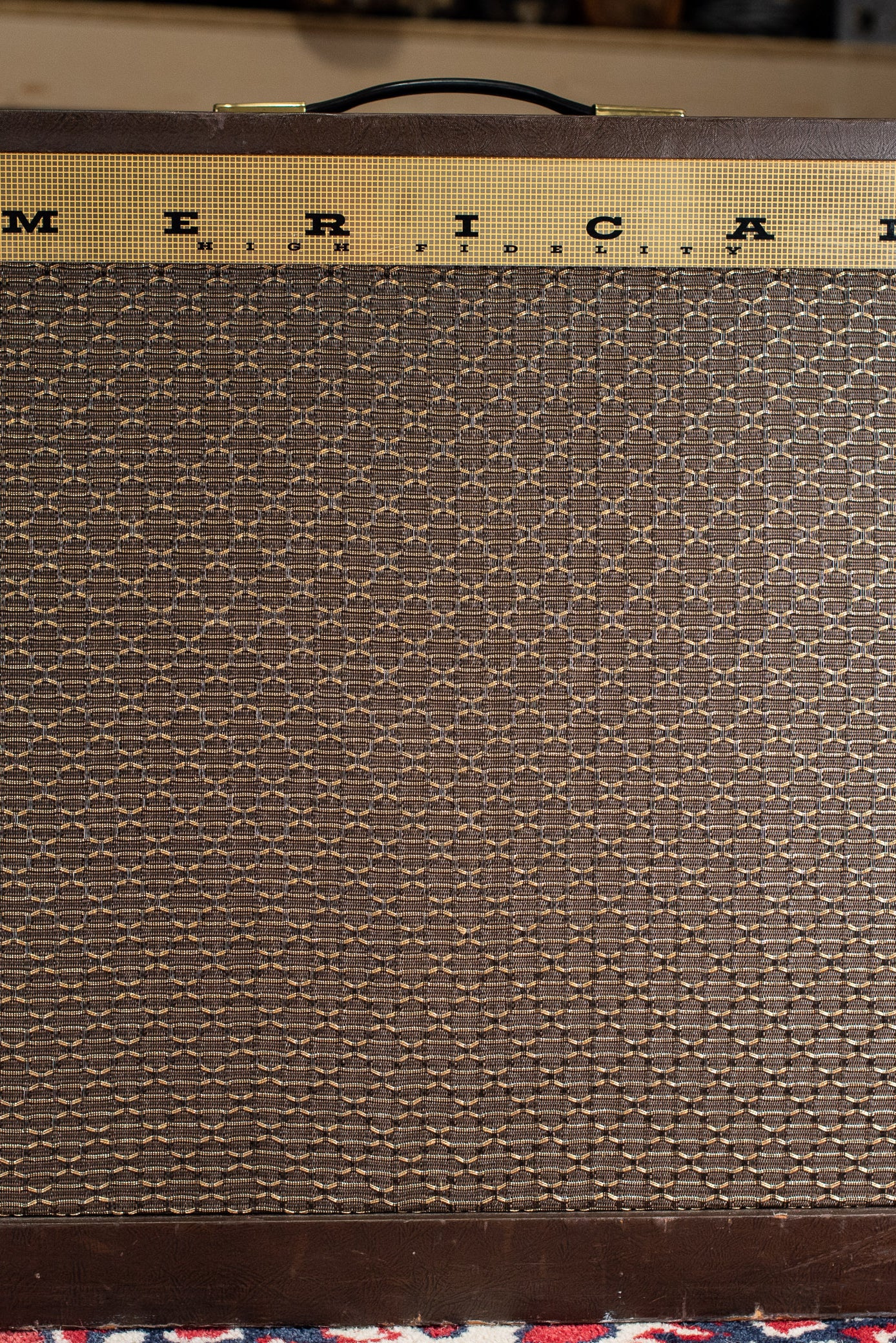 Vintage Magnatone Americana Custom 262B guitar amplifier