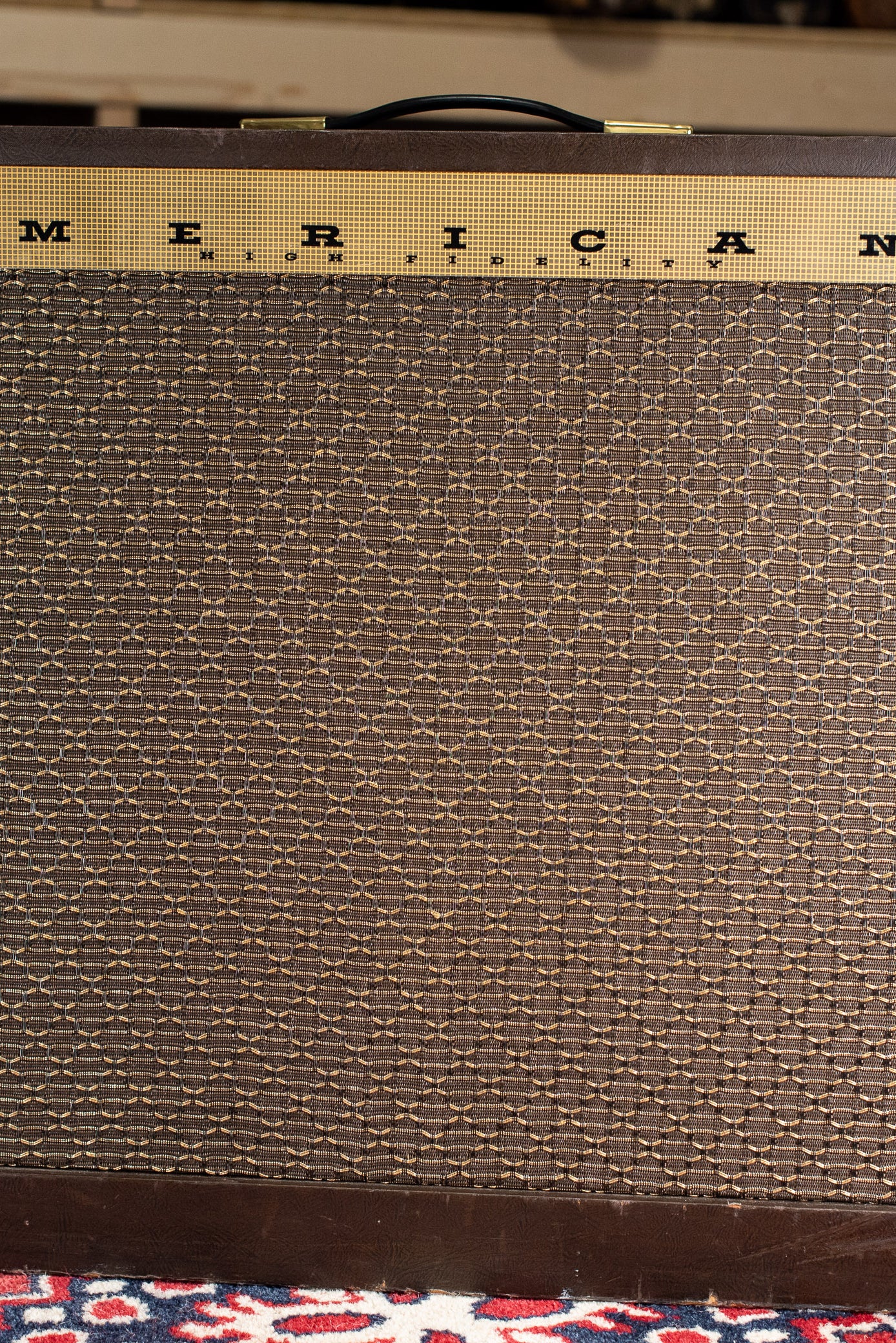 Vintage Magnatone Americana Custom 262B guitar amplifier