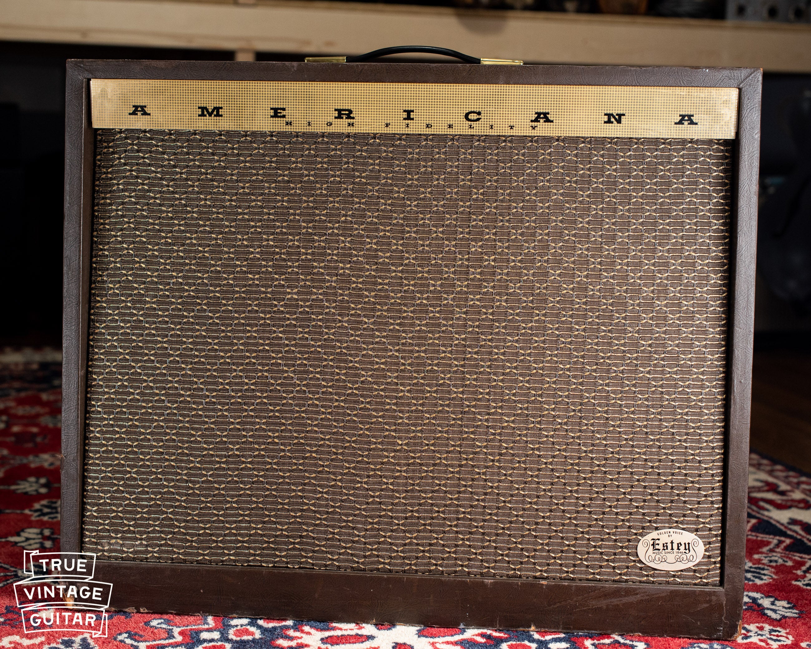 Vintage Magnatone Americana Custom 262B guitar amplifier
