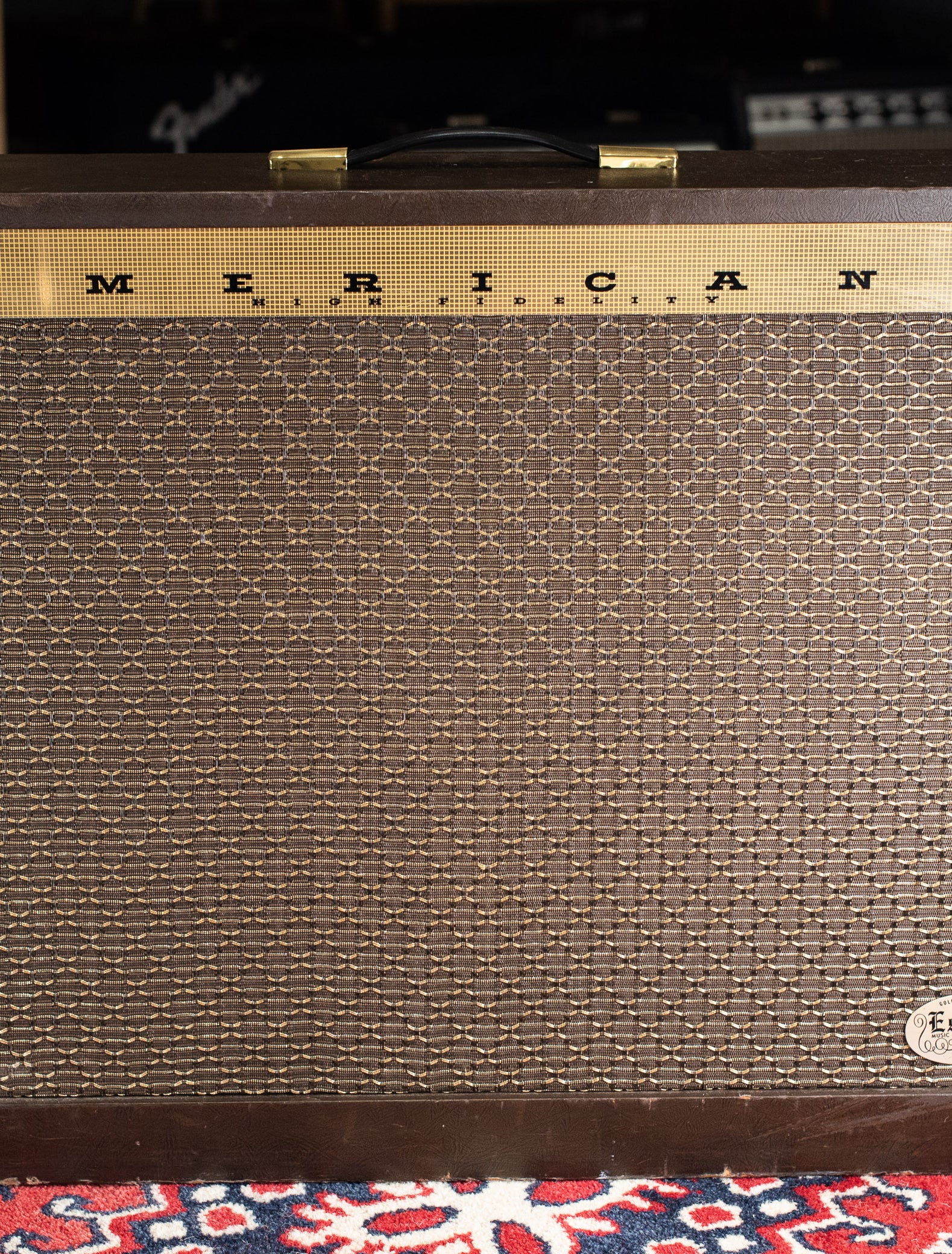 Vintage Magnatone Americana Custom 262B guitar amplifier