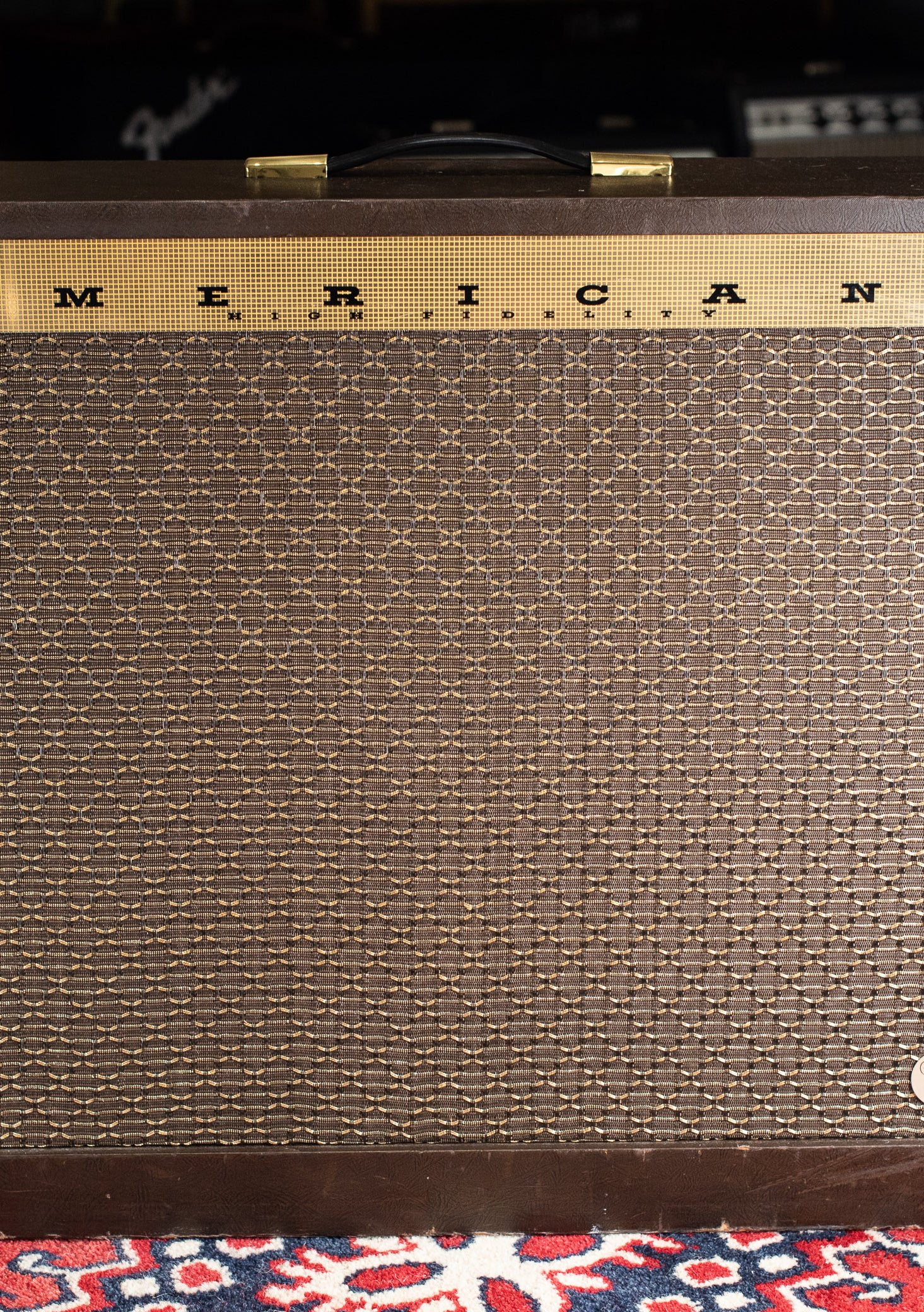 Vintage Magnatone Americana Custom 262B guitar amplifier