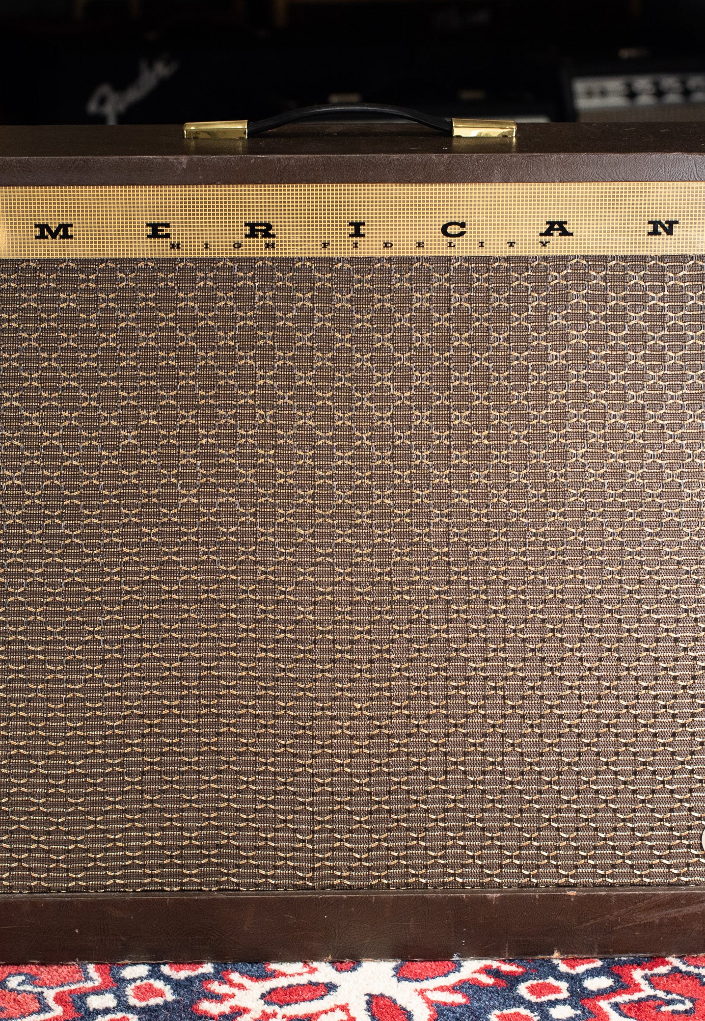 Vintage Magnatone Americana Custom 262B guitar amplifier