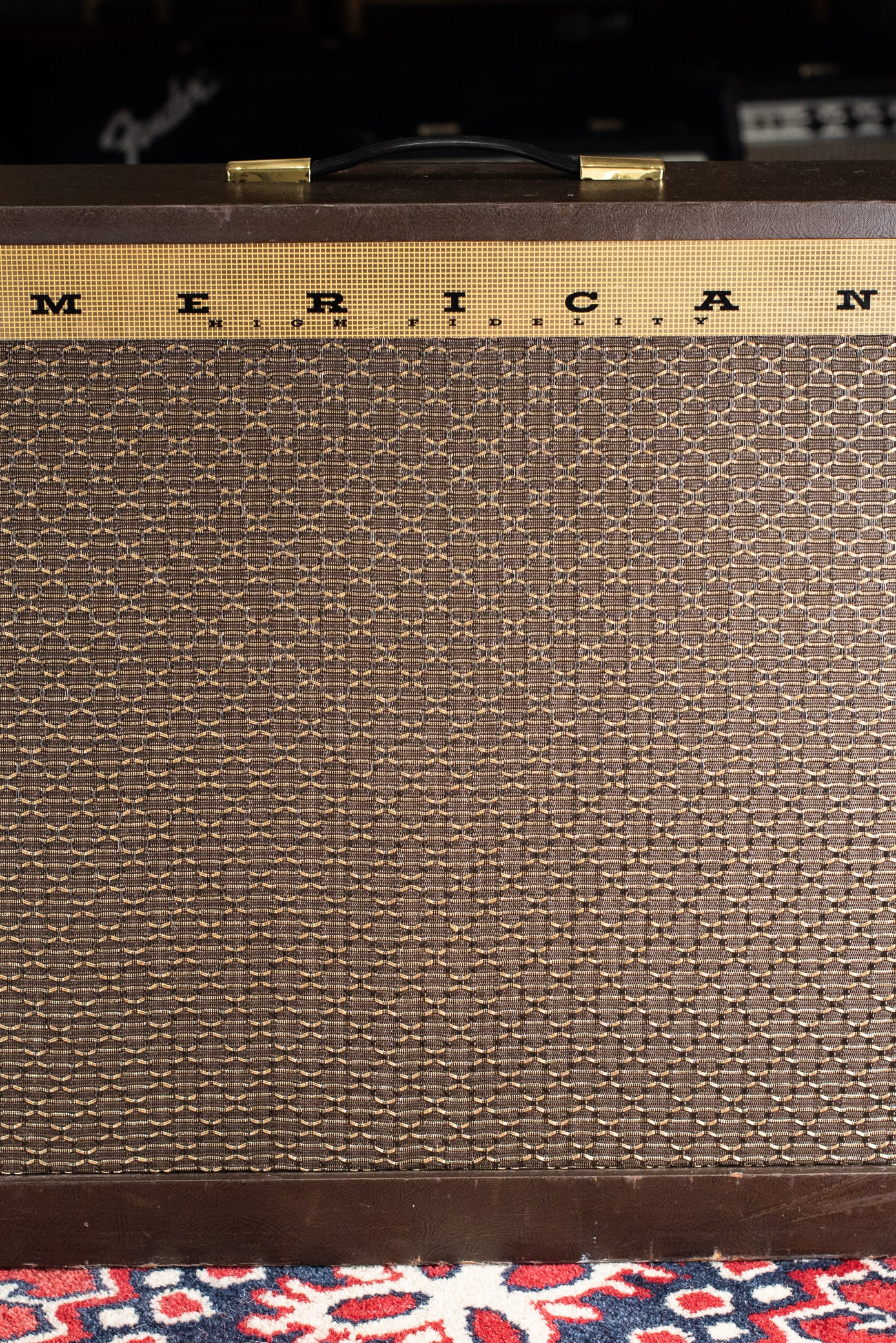 Vintage Magnatone Americana Custom 262B guitar amplifier