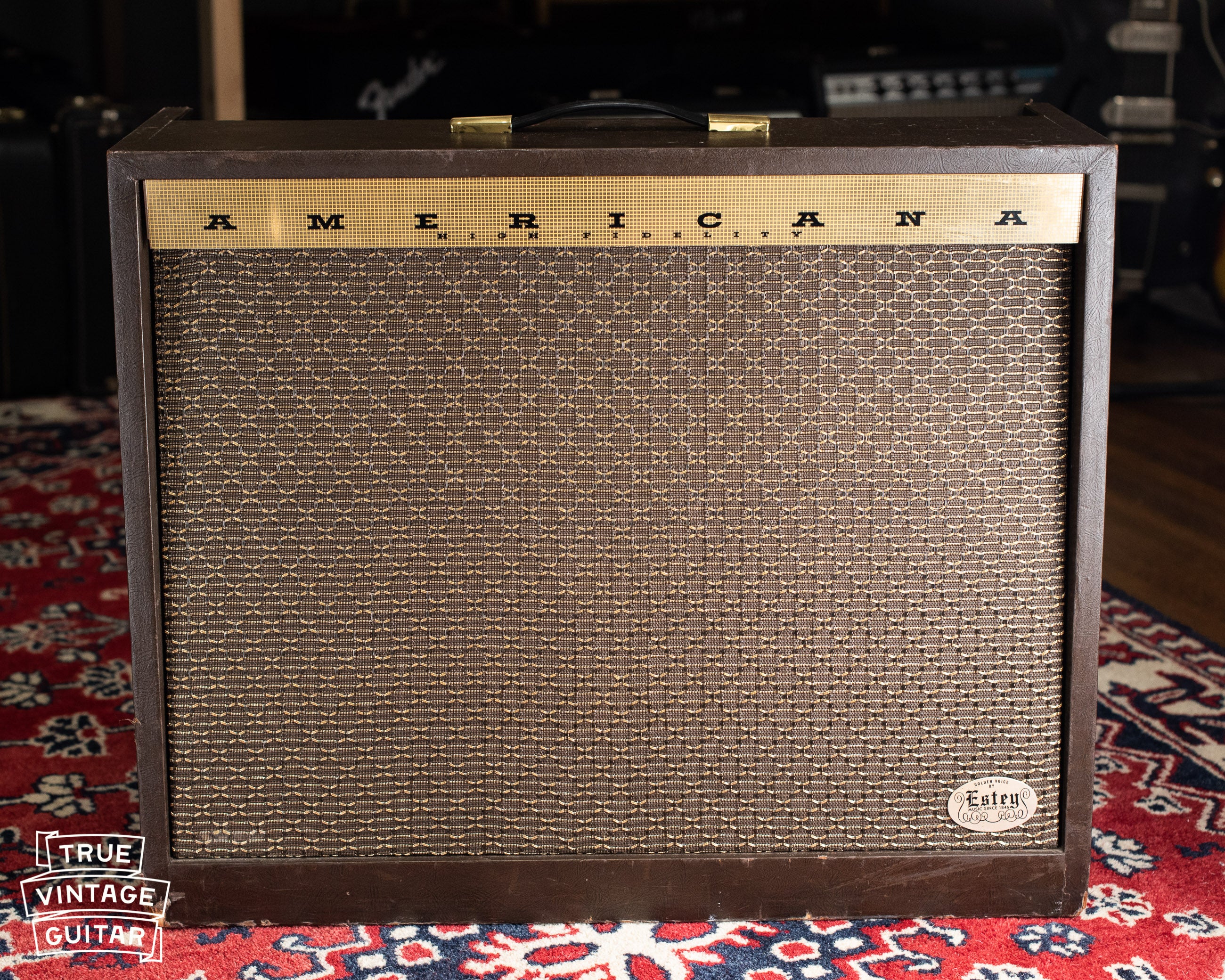 Vintage Magnatone Americana Custom 262B guitar amplifier