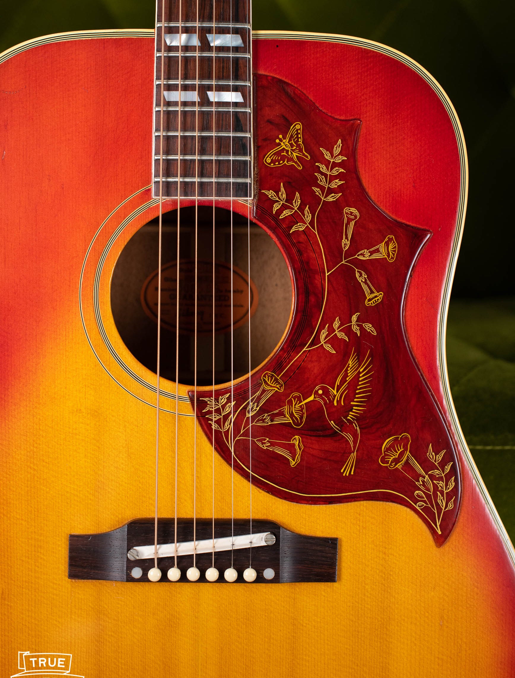 Hummingbird engraved pickguard guitar