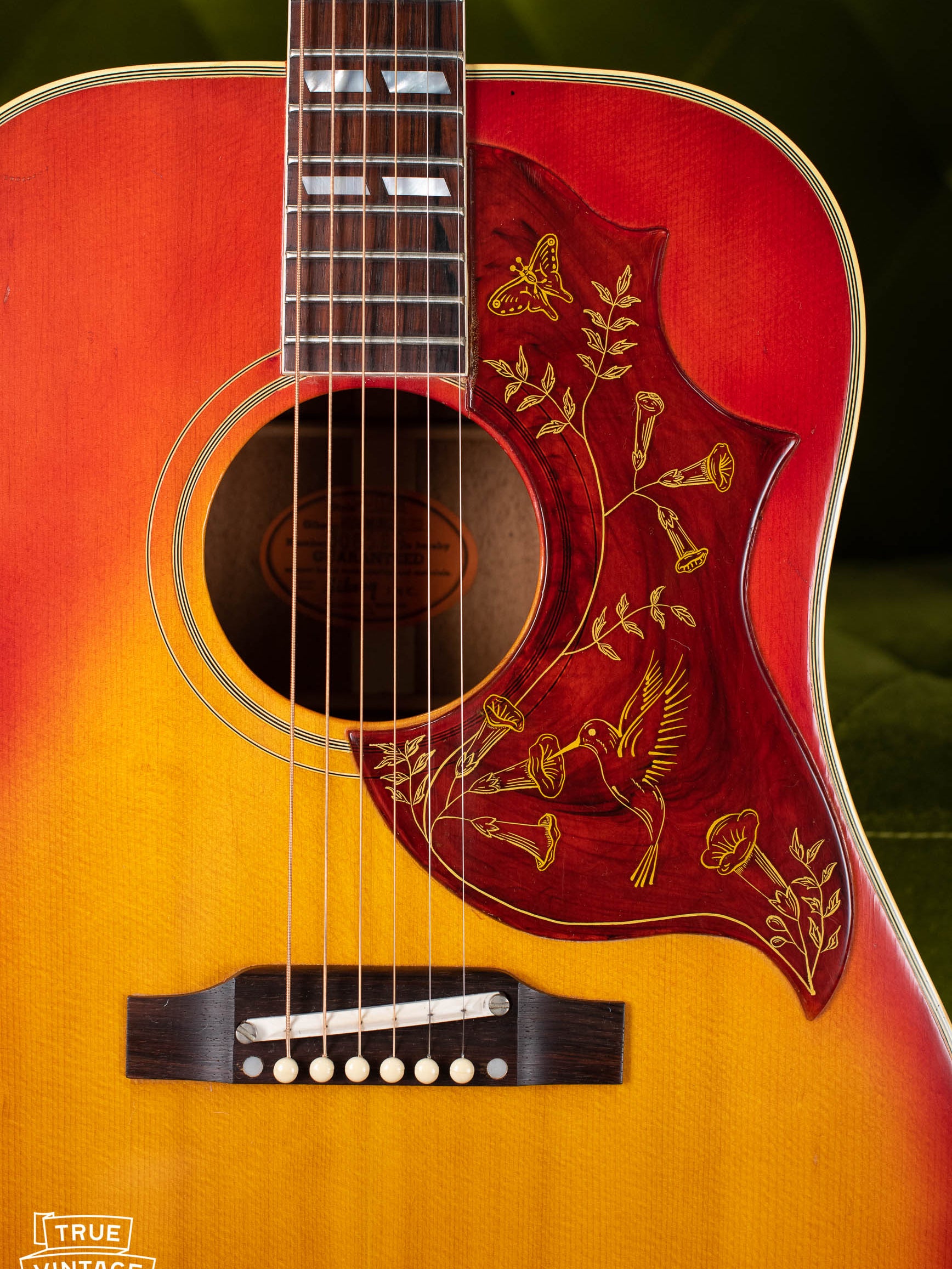 Hummingbird engraved pickguard guitar