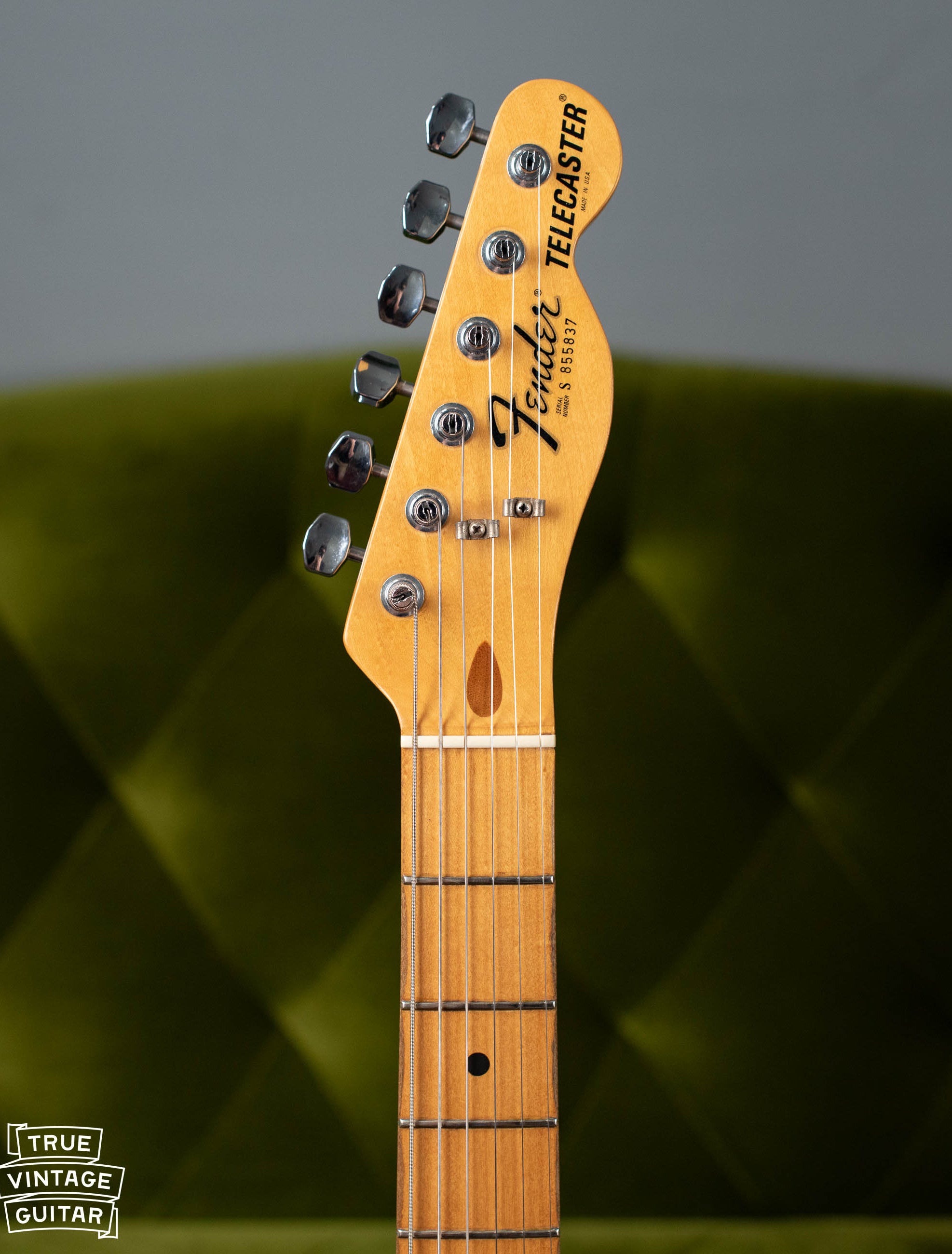 Vintage 1982 Fender Telecaster Maple neck