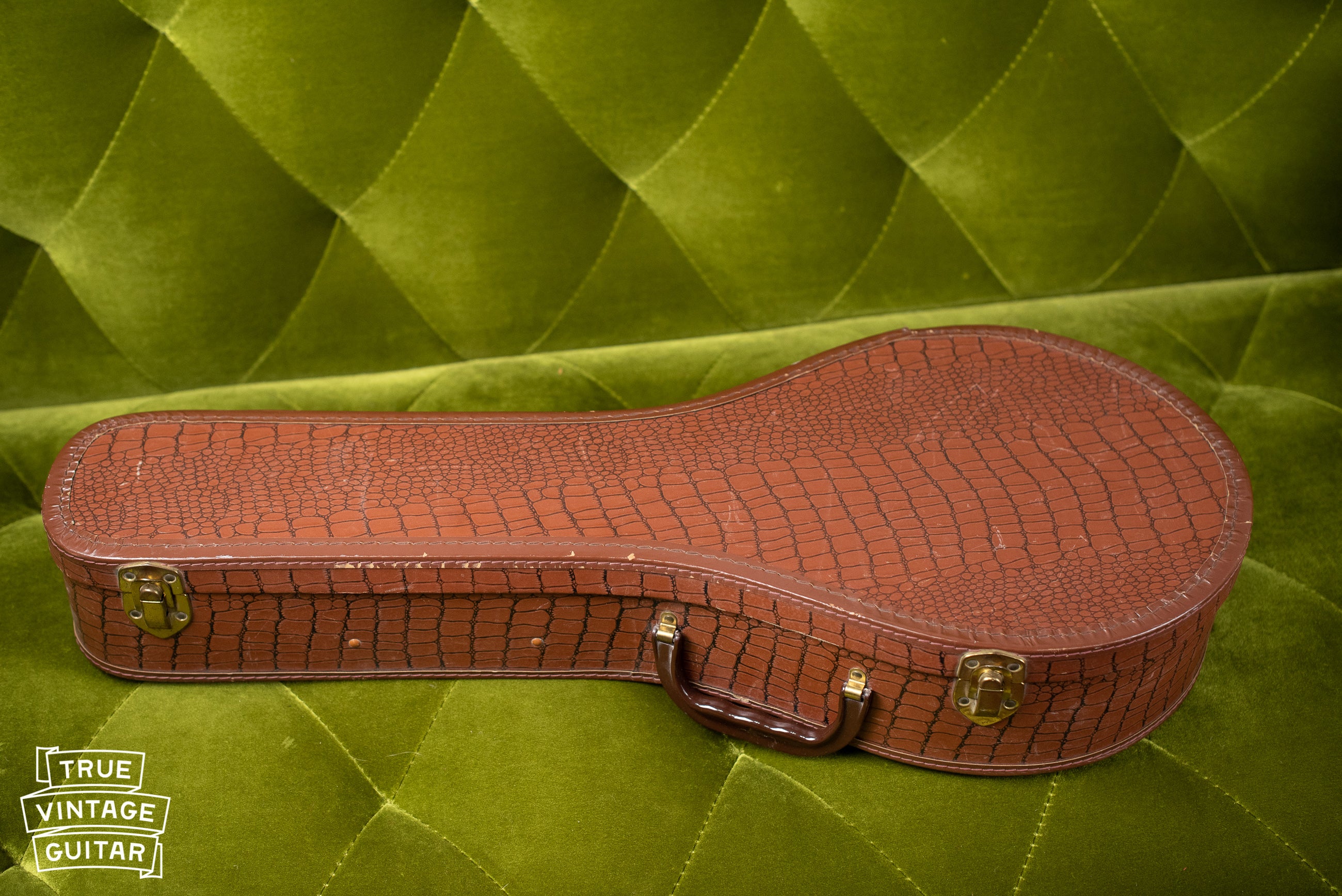 Gibson faux alligator chipboard mandolin case