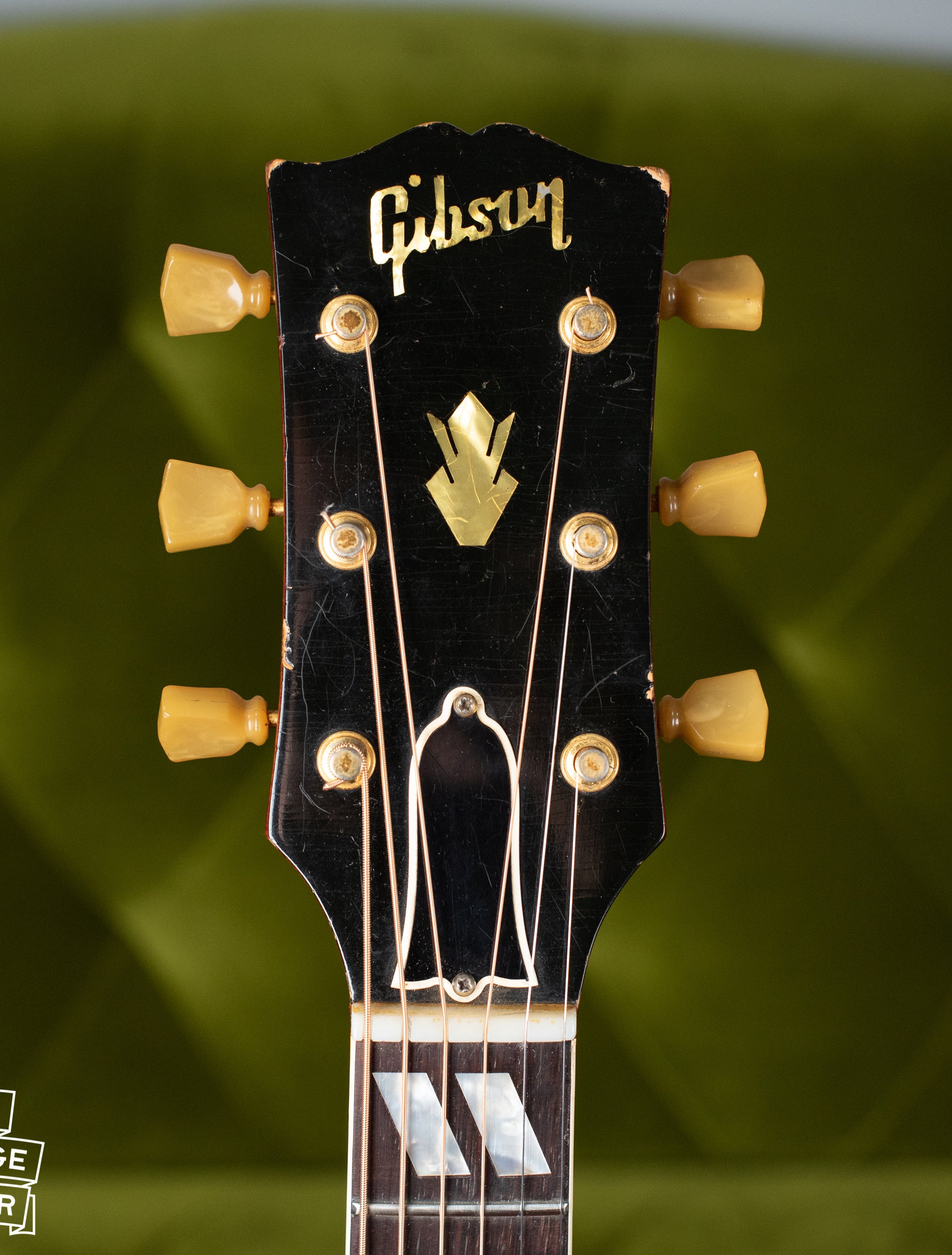 Pearl Gibson logo, Hummingbird headstock