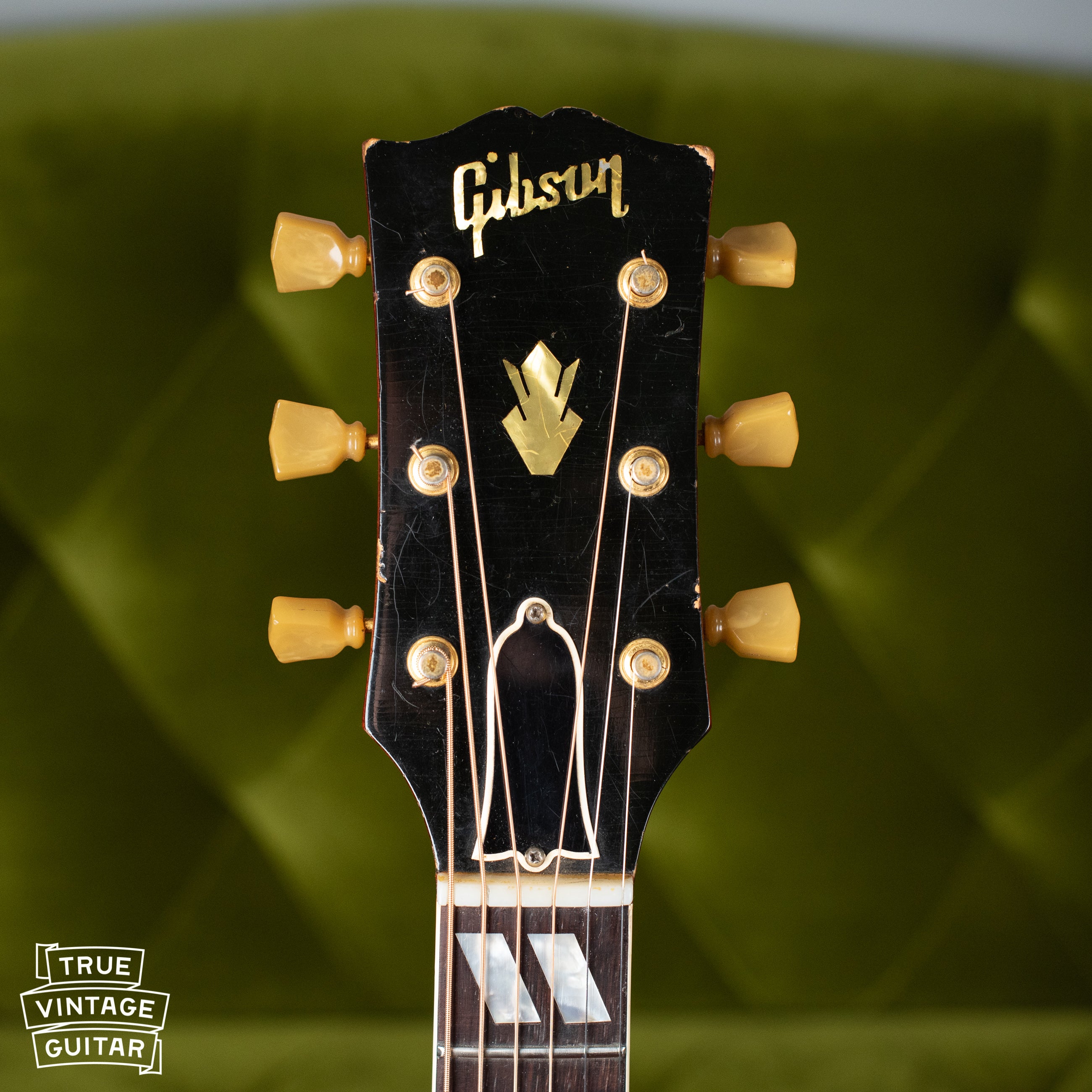 Pearl Gibson logo, Hummingbird headstock