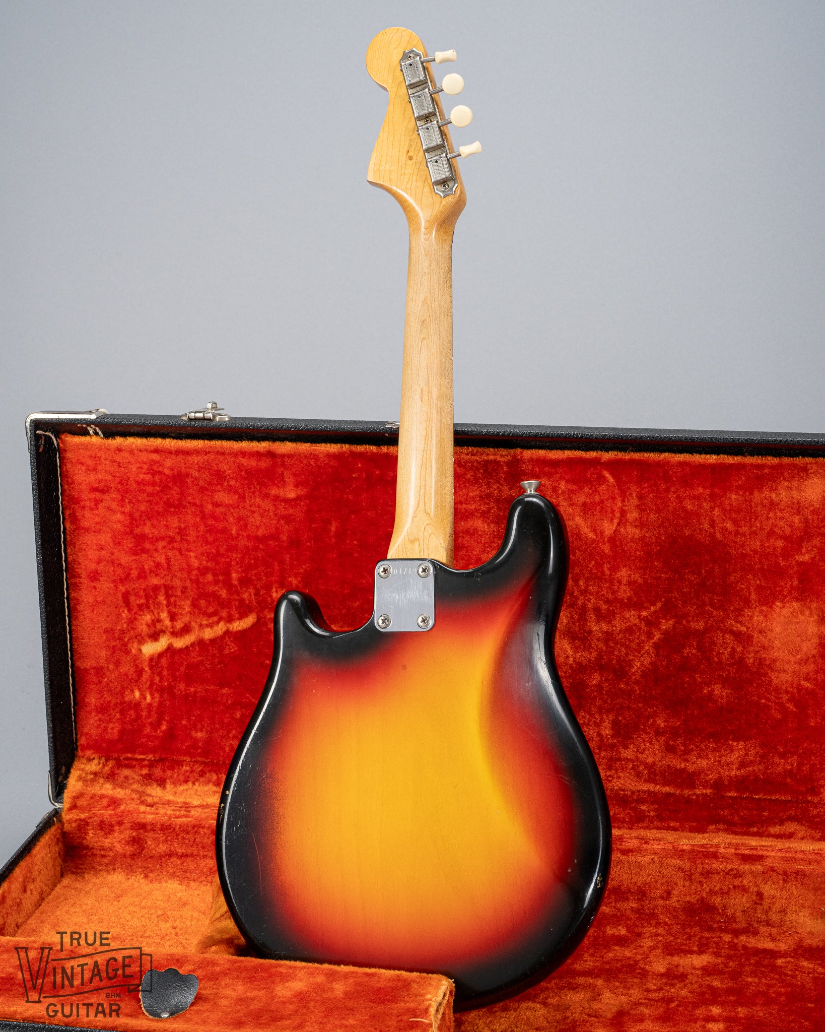 back of 1965 Fender Electric Mandolin Sunburst guitar mandolin body neck plate neck and headstock