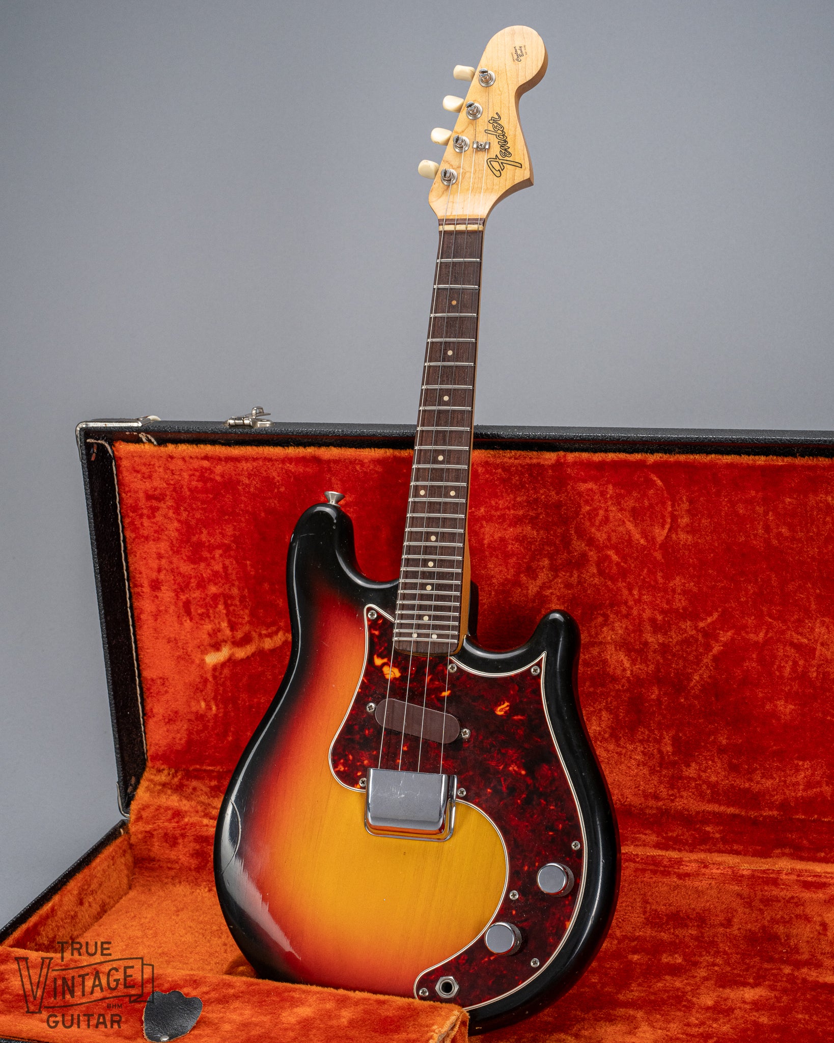 Front of 1965 Fender Electric Mandolin Sunburst guitar mandolin body tortoise shell pickguard pickup neck and headstock