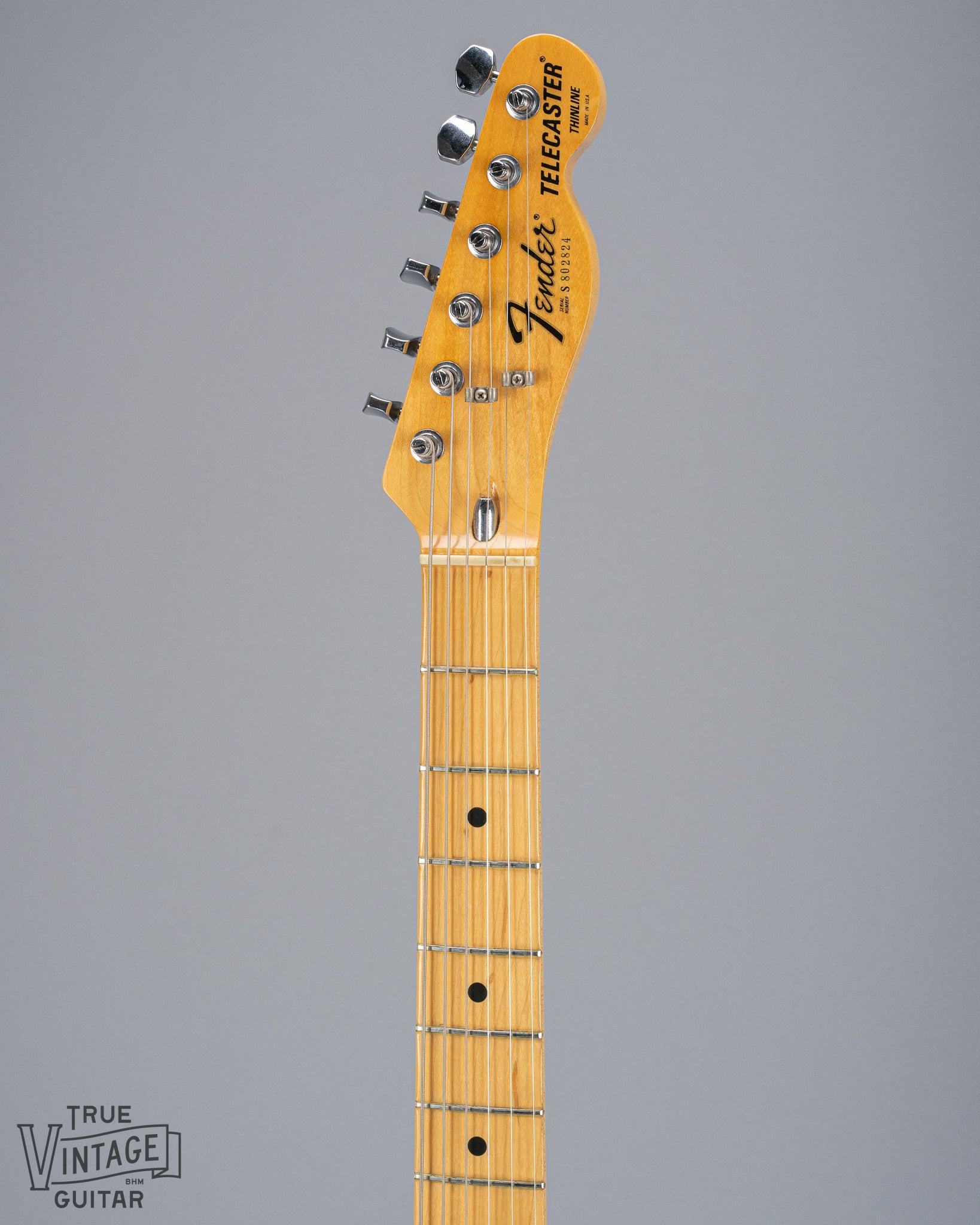 front of 1978 Fender Telecaster Thinline Black guitar neck and headstock