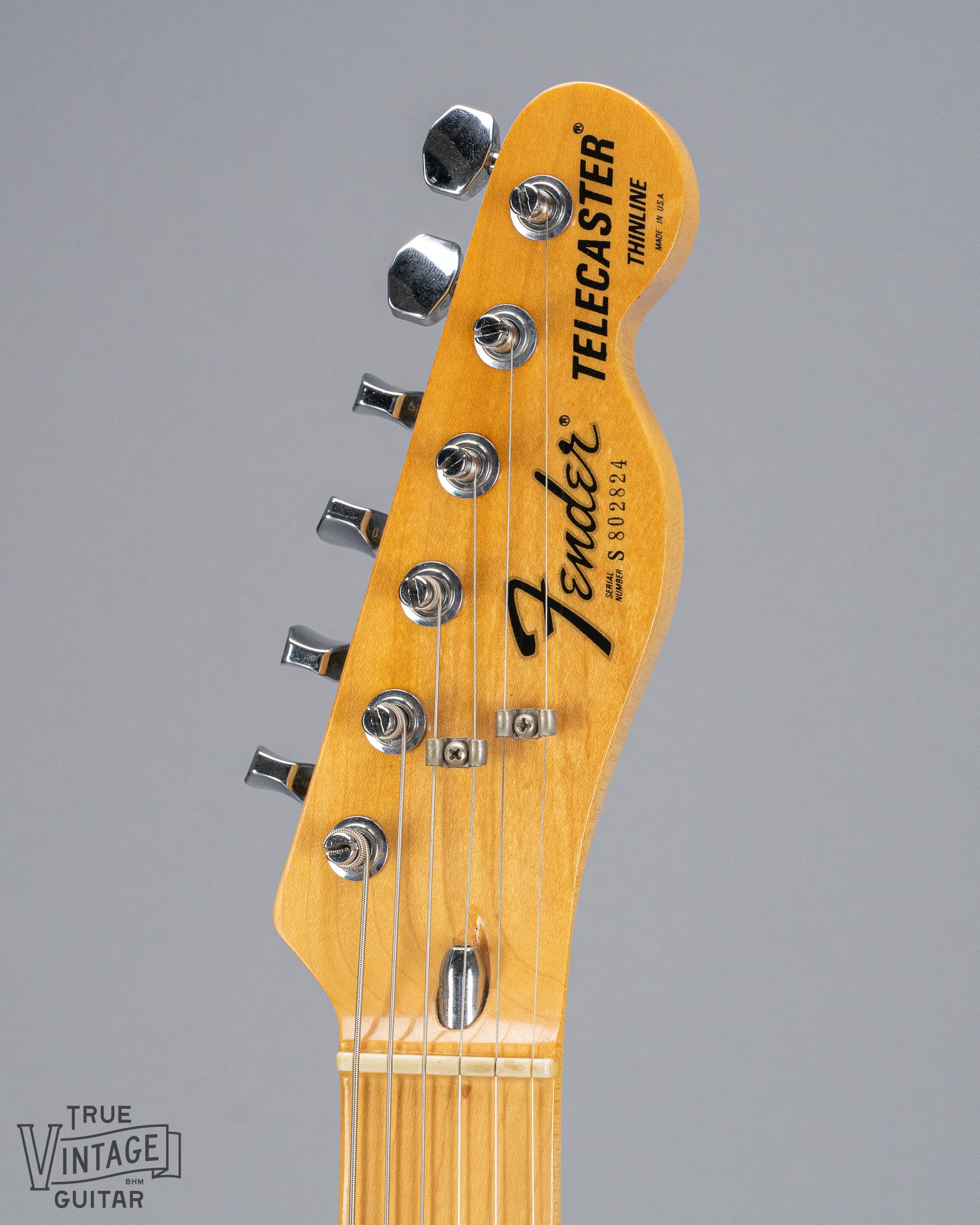 front of 1978 Fender Telecaster Thinline Black guitar headstock fender logo bullet adjustment tuners 