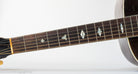 1928 Gibson Nick Lucas Special, fretboard inlays