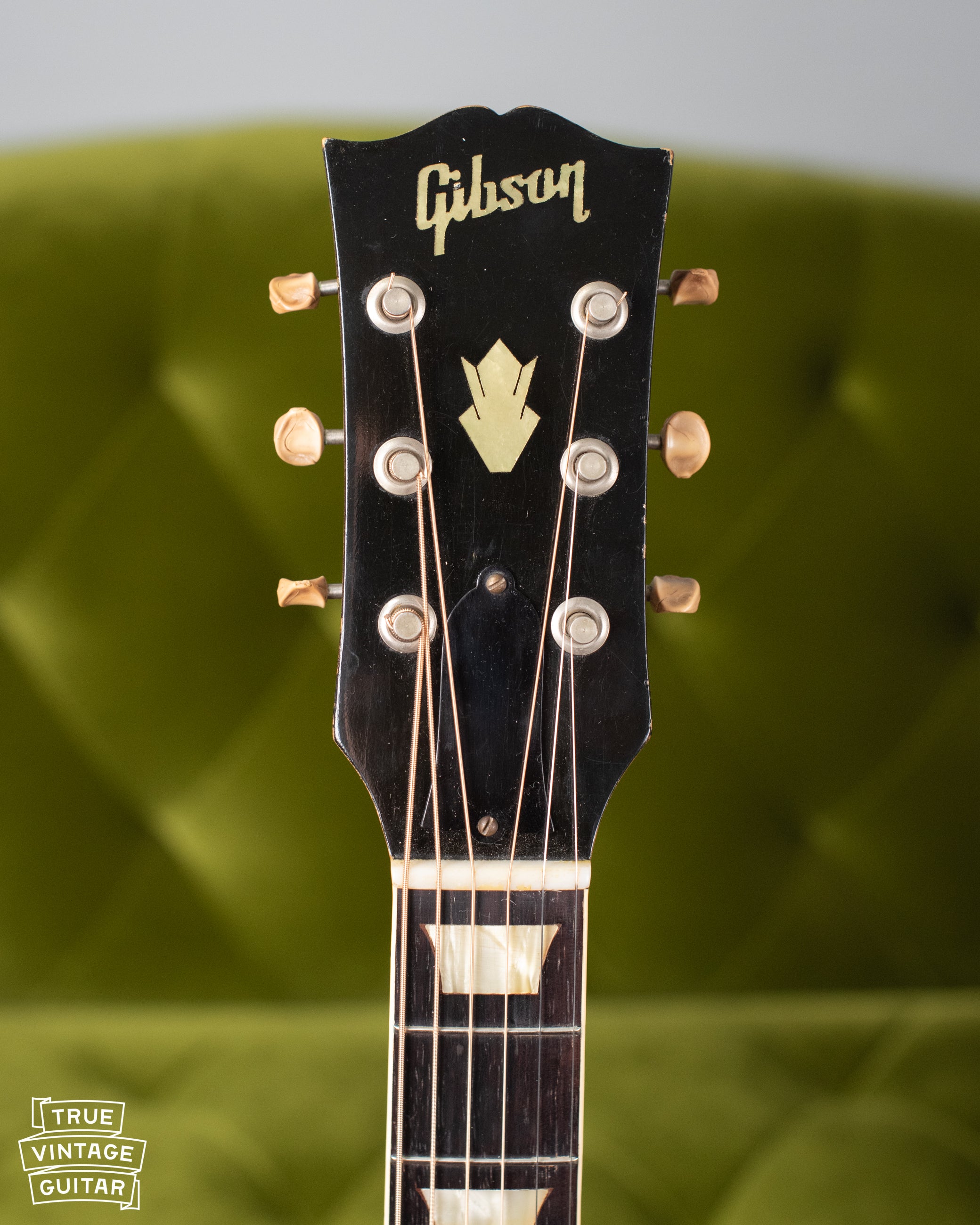 Gibson CF-100 headstock