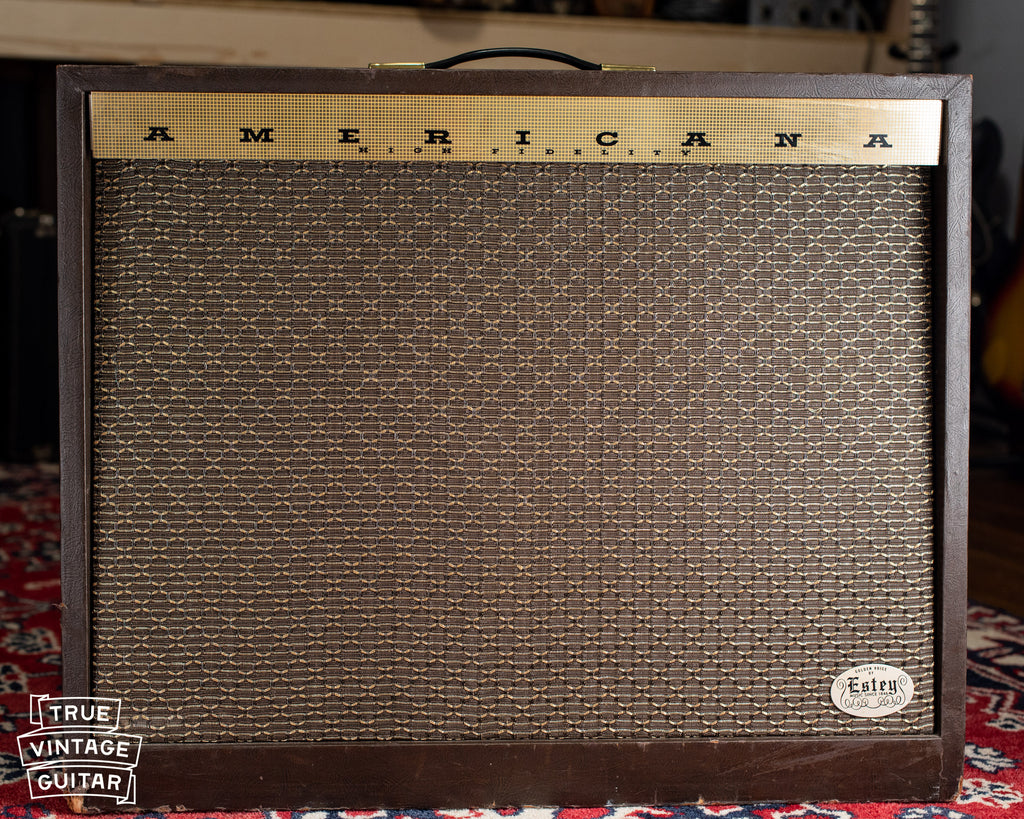 Vintage Magnatone Americana Custom 262B guitar amplifier