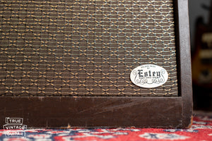 Estey badge, Vintage Magnatone Americana Custom 262B guitar amplifier