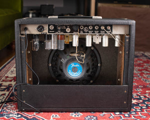 Oxford 10J4 speaker, 1966 Fender princeton Reverb