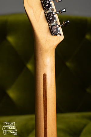 1969 Fender Telecaster Thinline