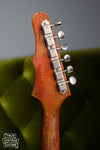 1965 Epiphone Wilshire Red Fox, back of headstock, tuners