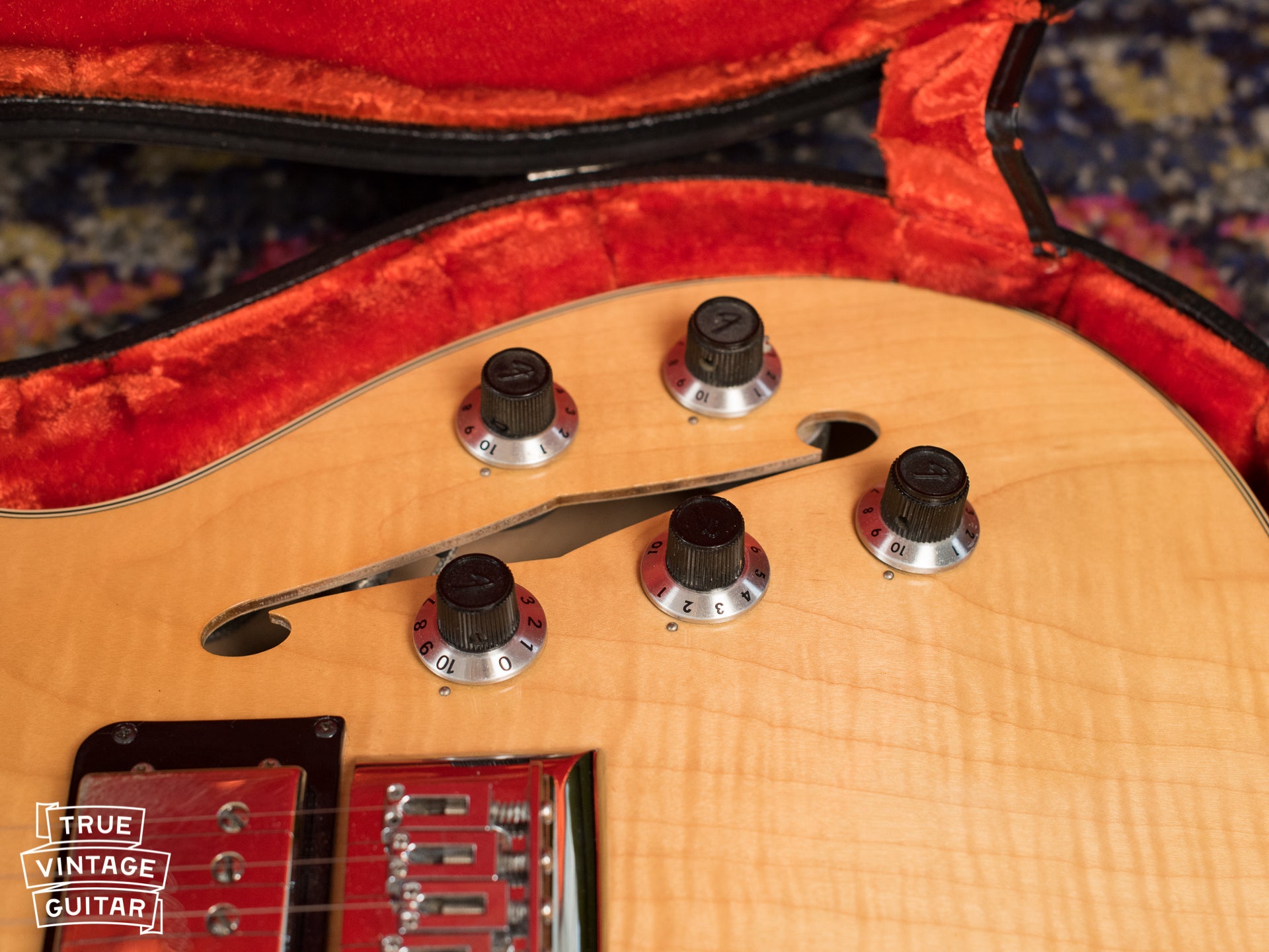 Knobs, 1976 Fender Starcaster Natural