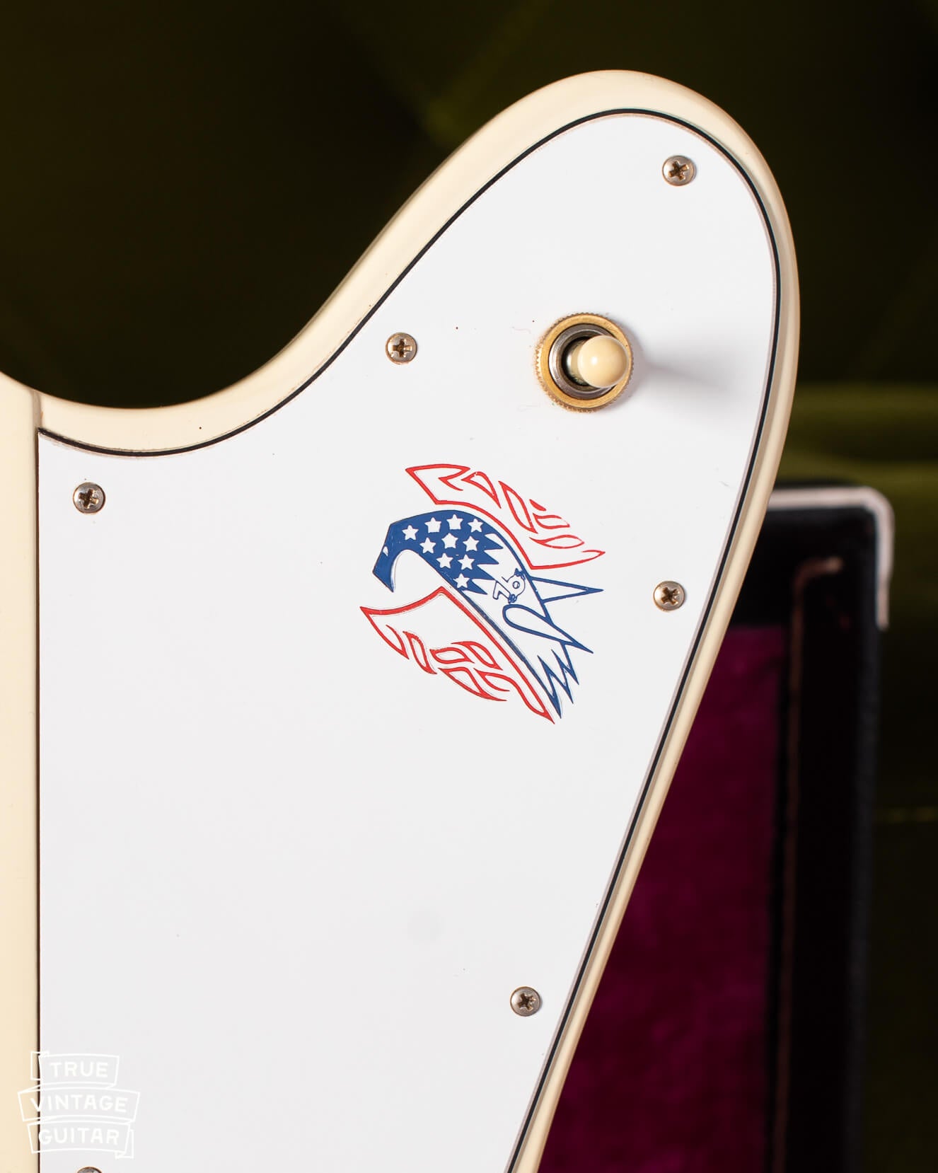 Gibson Firebird 76 logo red and blue