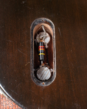 Control cavity, bumble bee capacitor, original potentiometers